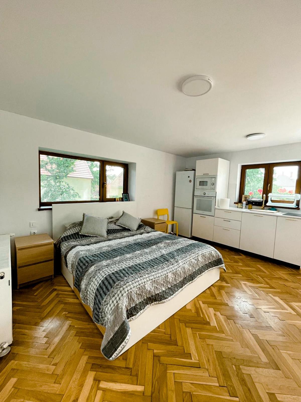 Studio minunat de vacanta Cristian view 2