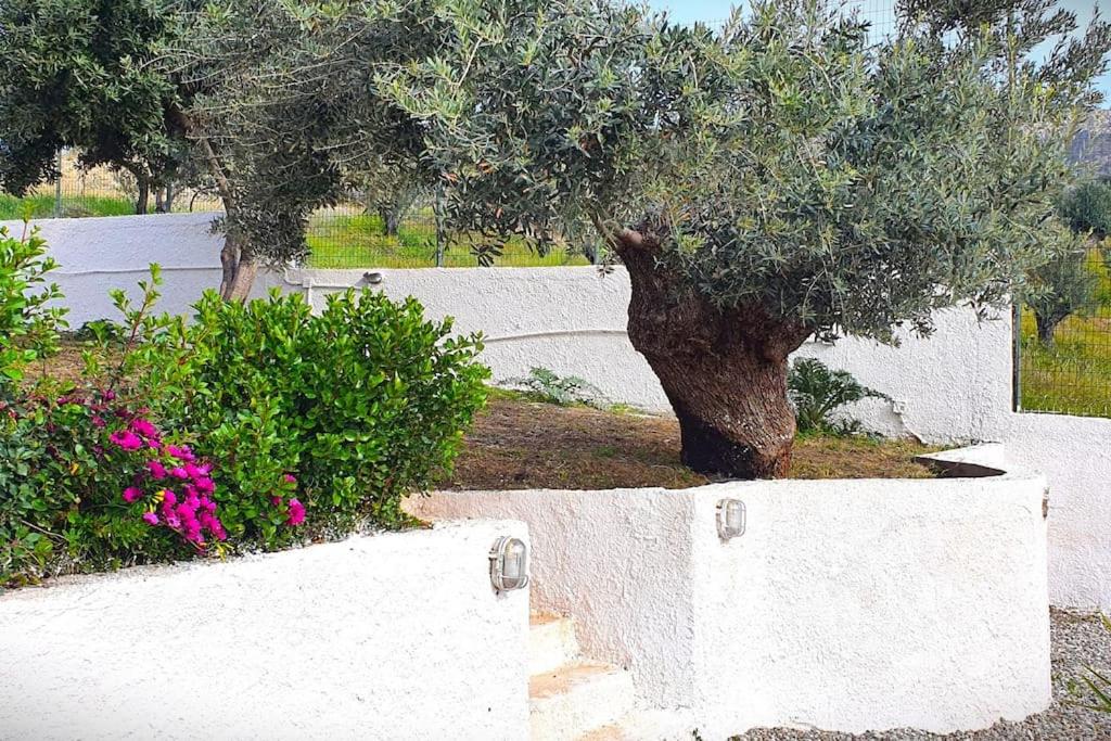 Villa Theonymfi