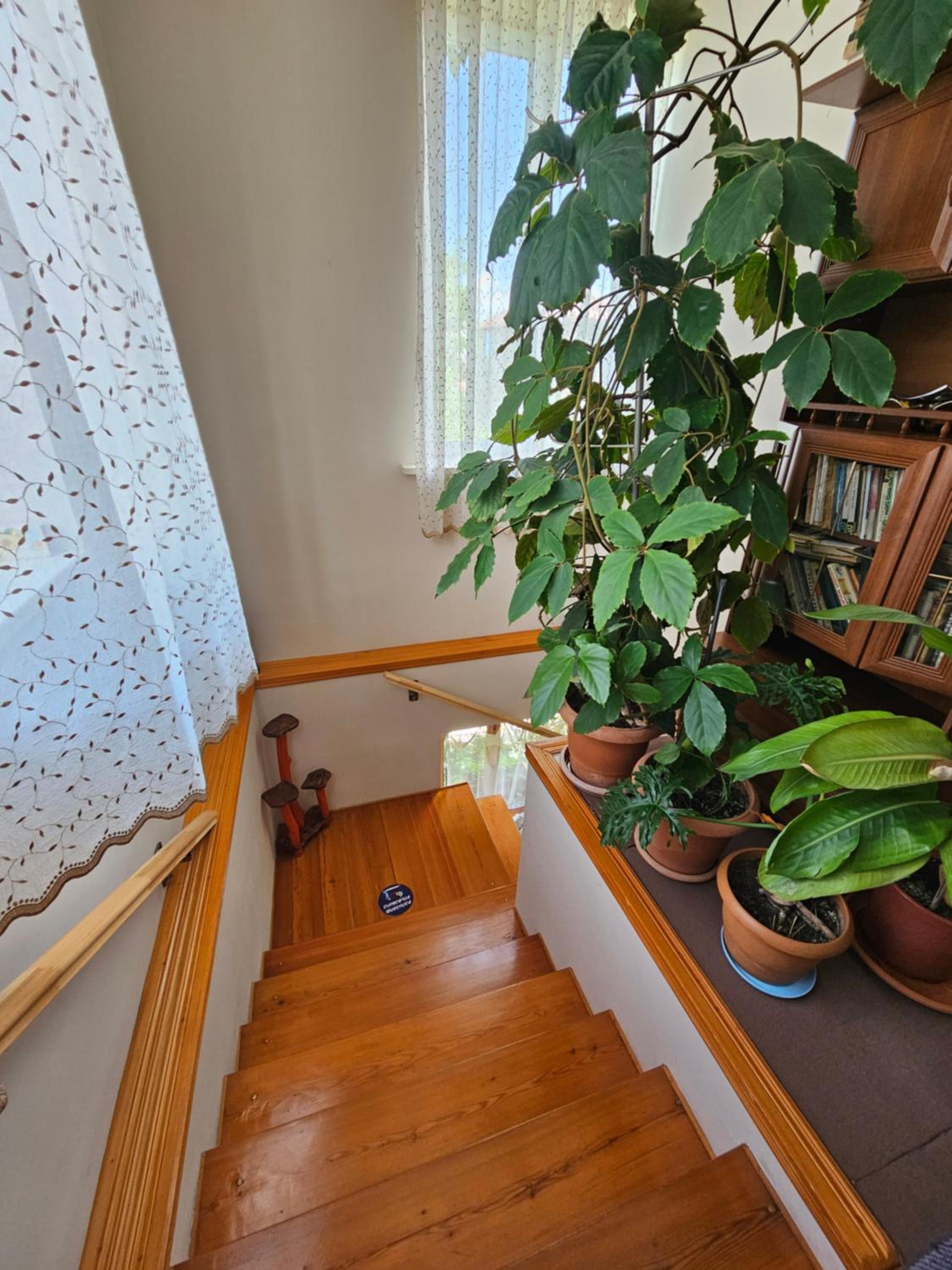 Tamari Guest House view 2