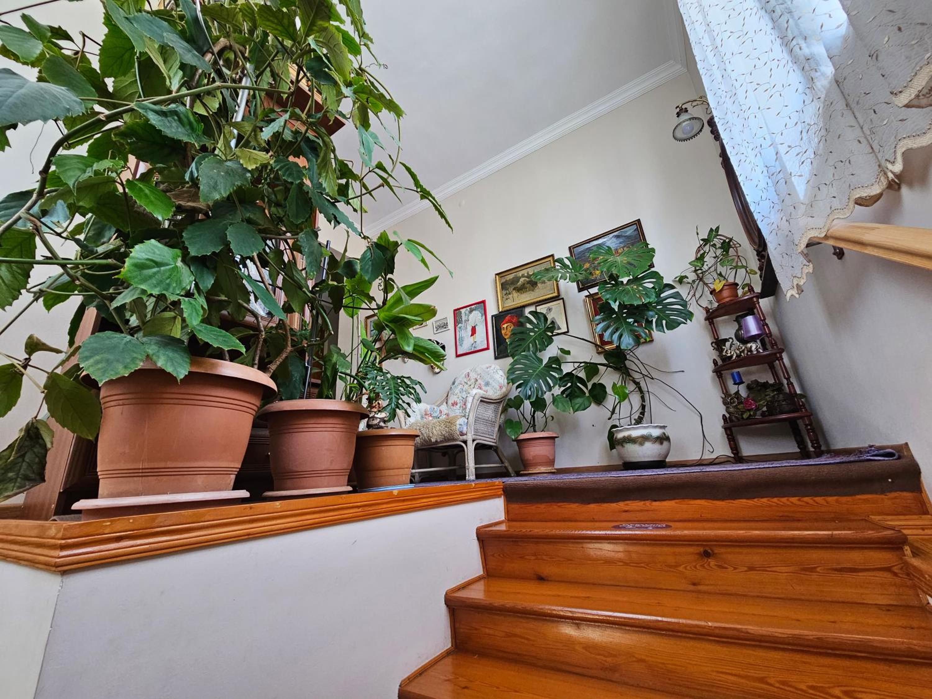 Tamari Guest House view 3
