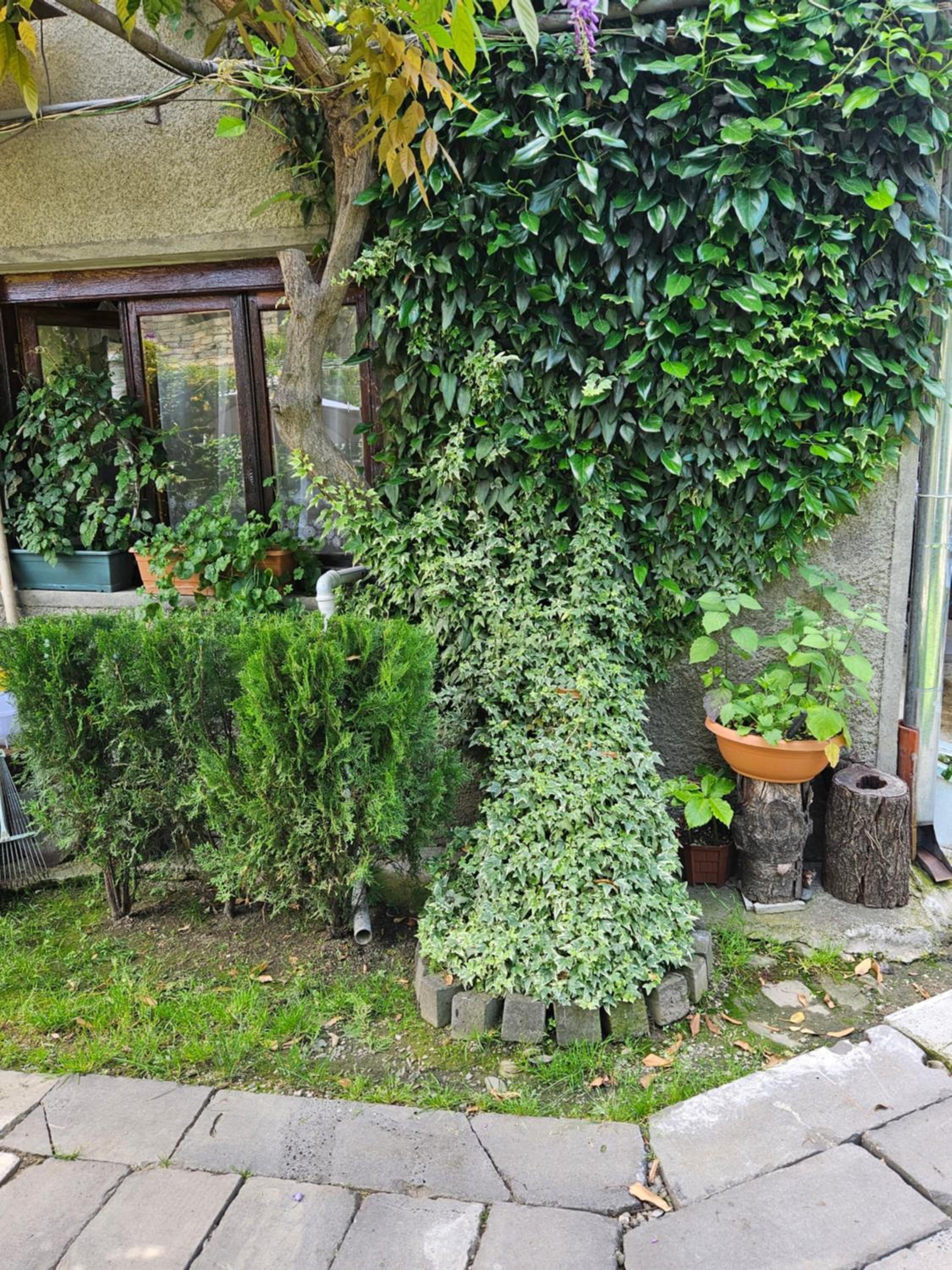Photo 38