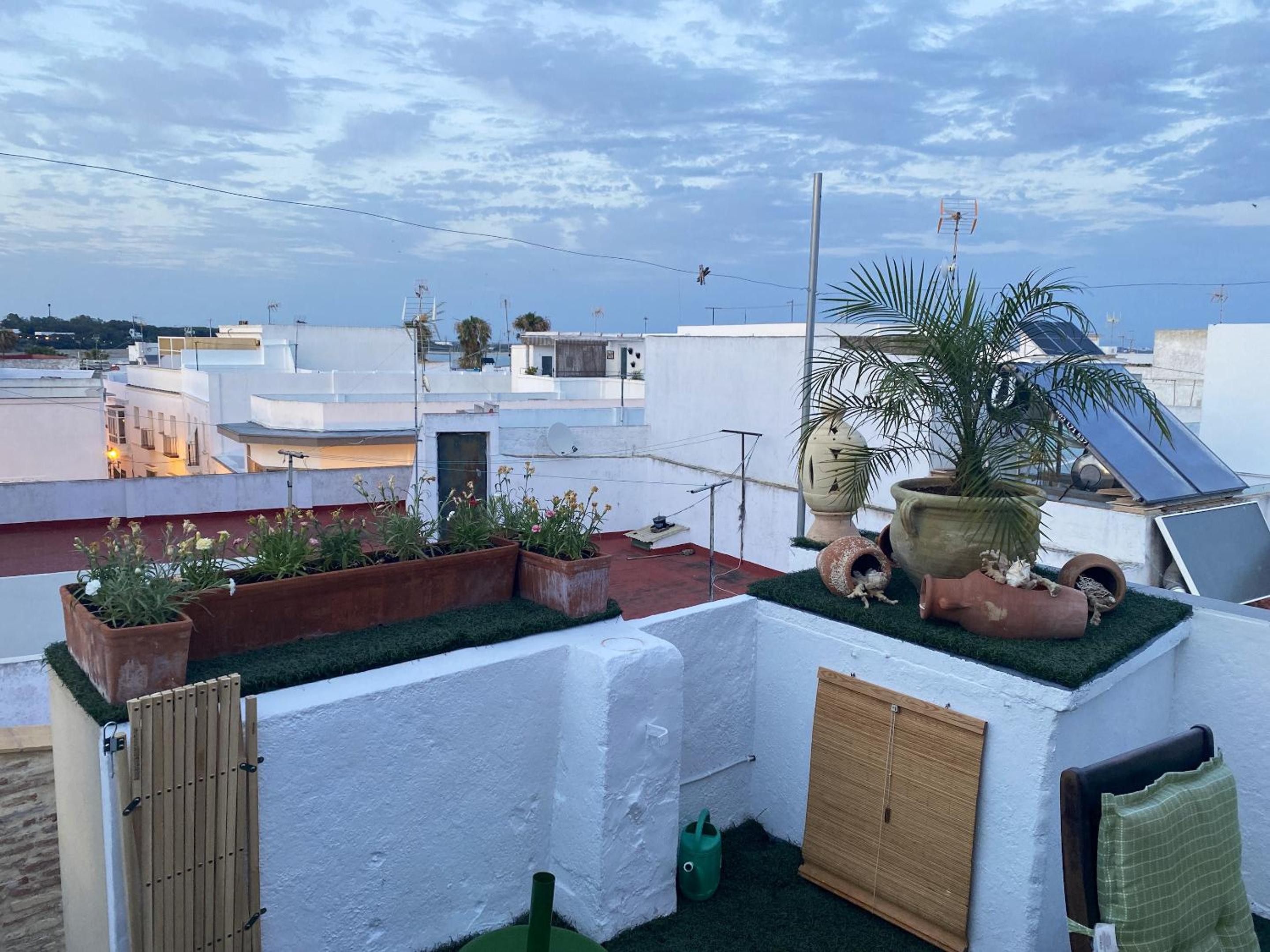 roof