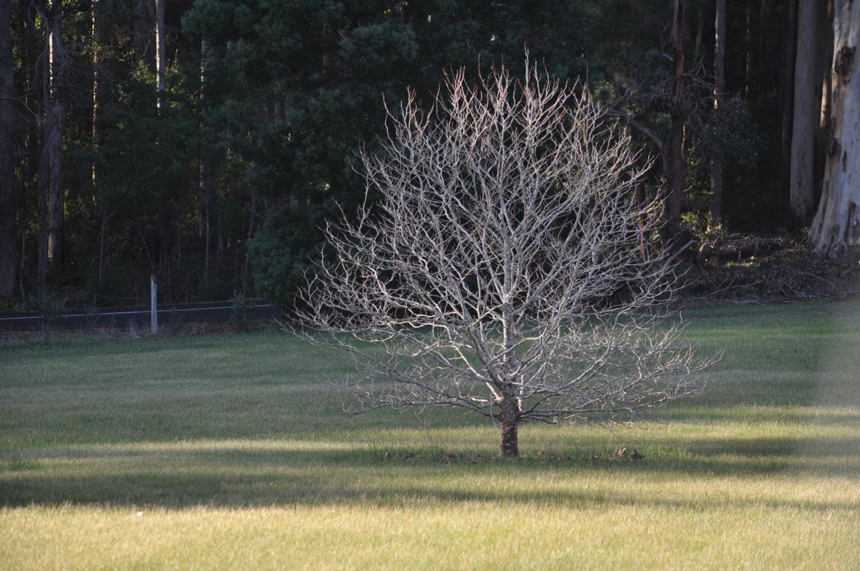 Big Brook Retreat