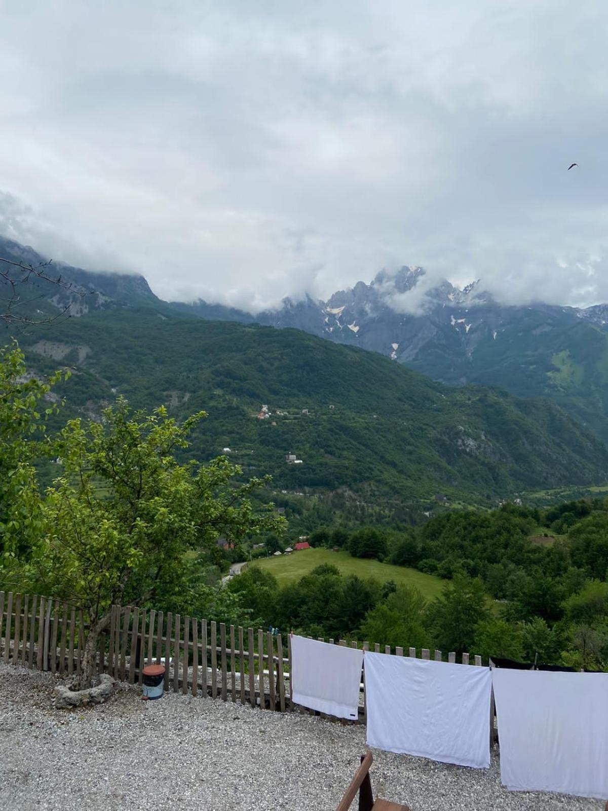 Bujtina Carku