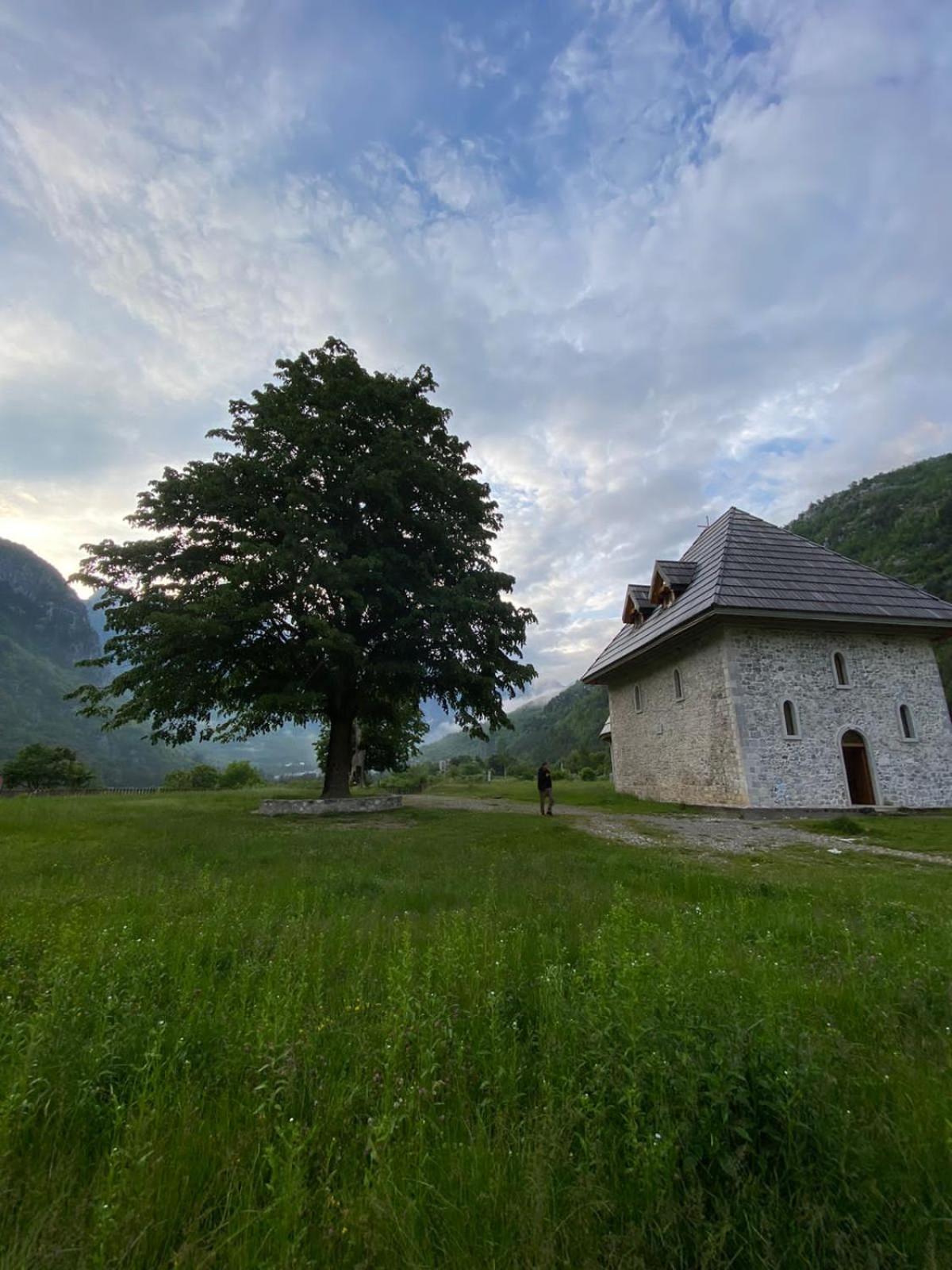 Bujtina Carku