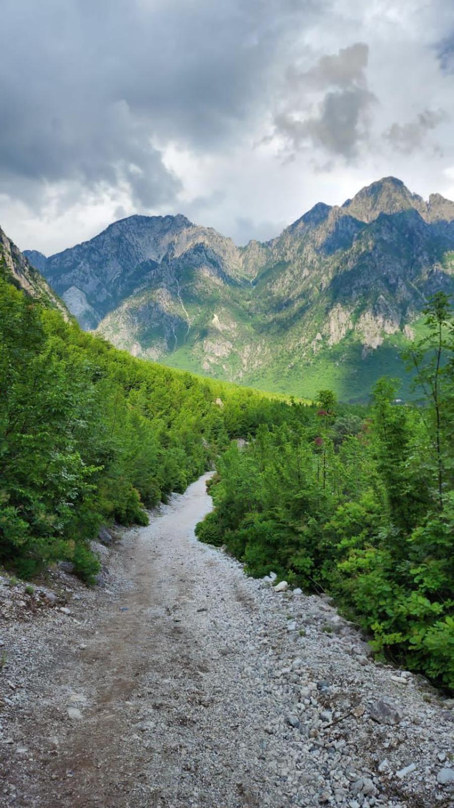 Bujtina Carku