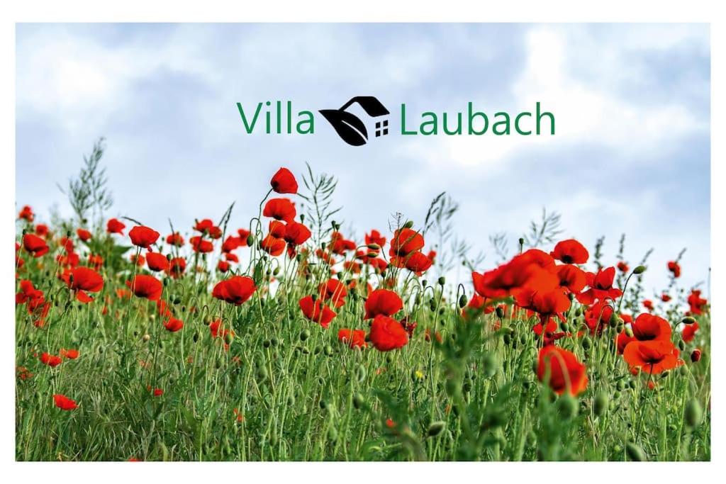 Villa Laubach