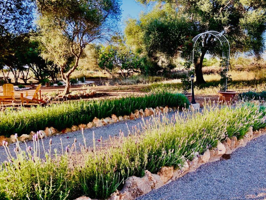 Finca Sa Canova Agroturismo