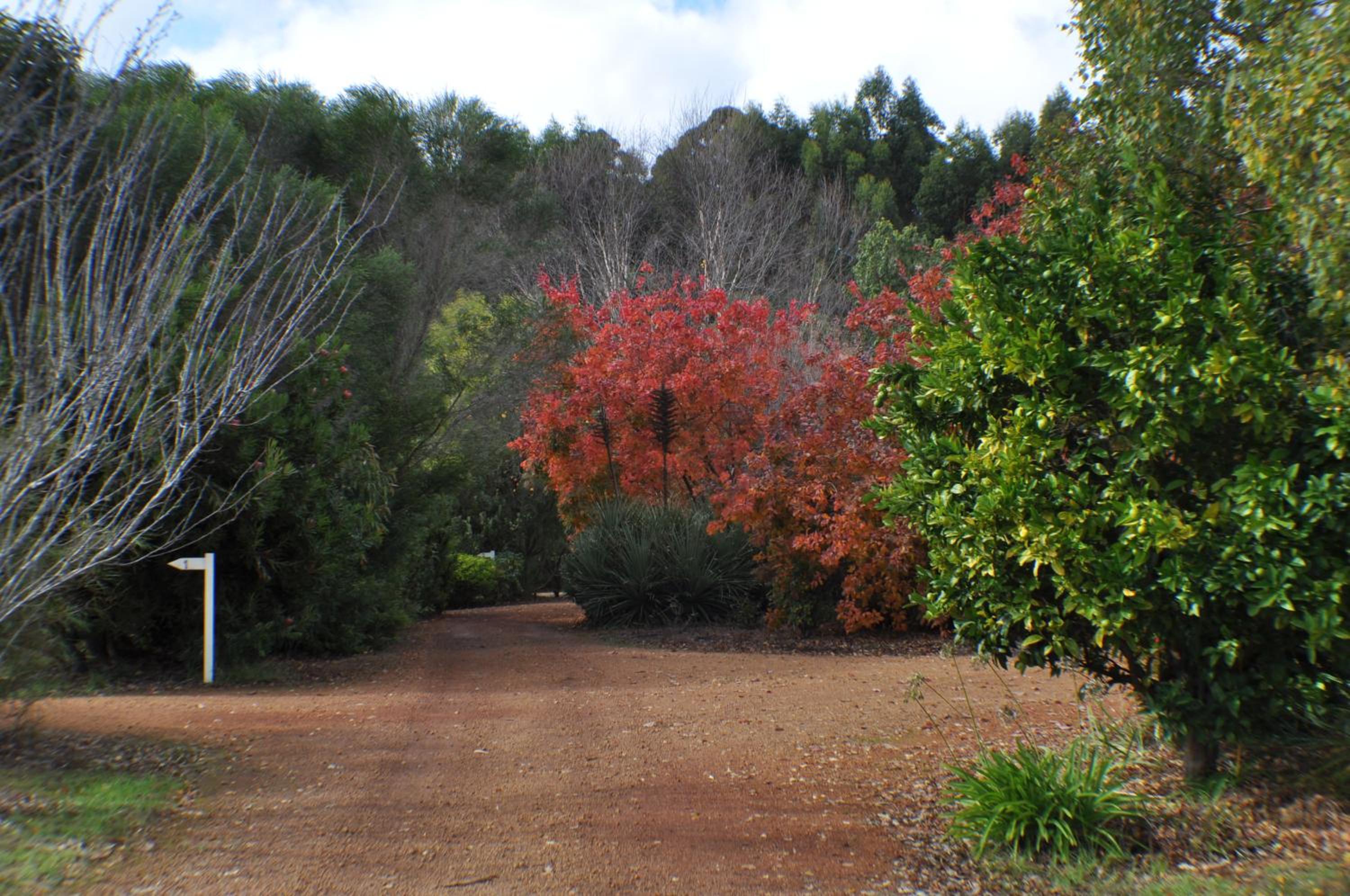 Big Brook Retreat