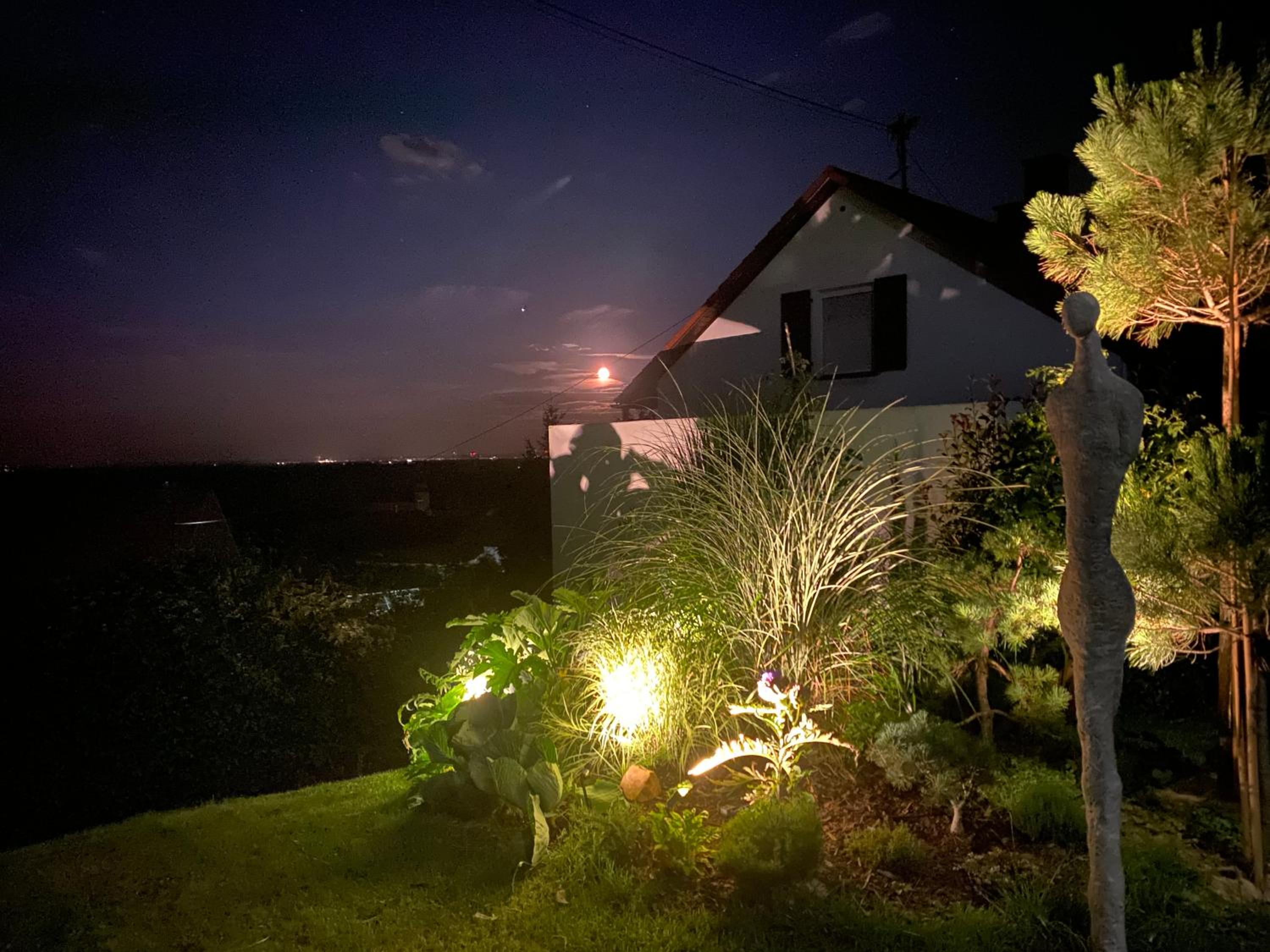 Atelier de Pfalz-Loftstyl mit Pfalzblick