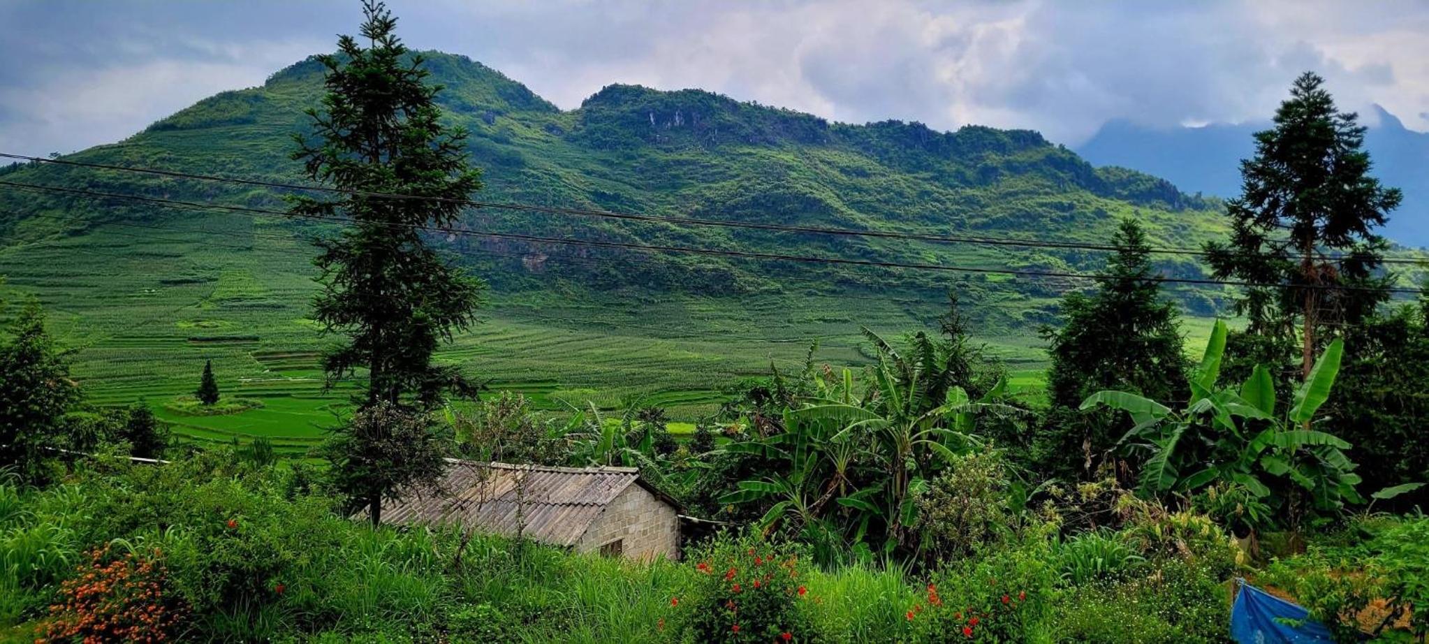 Hoàng homestay