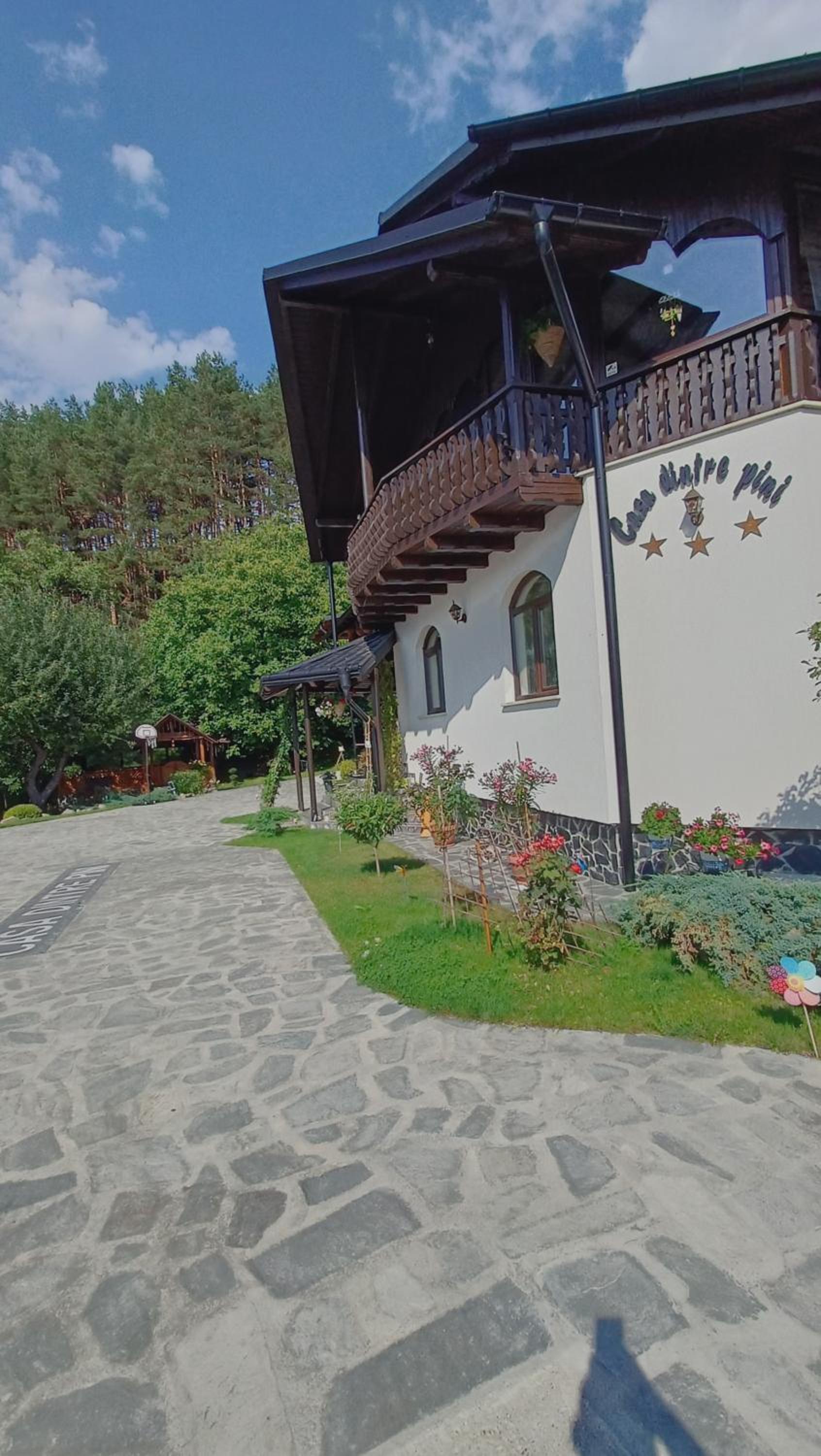 CASA DINTRE PINI view 5