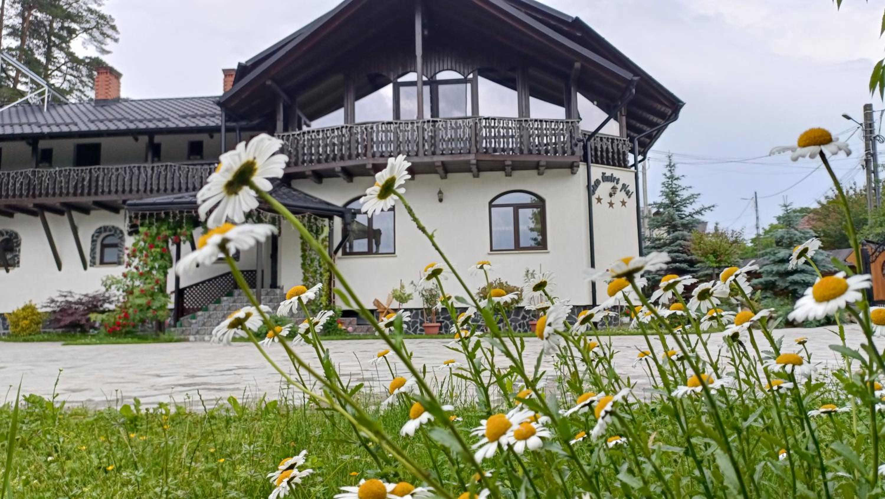 CASA DINTRE PINI view 3