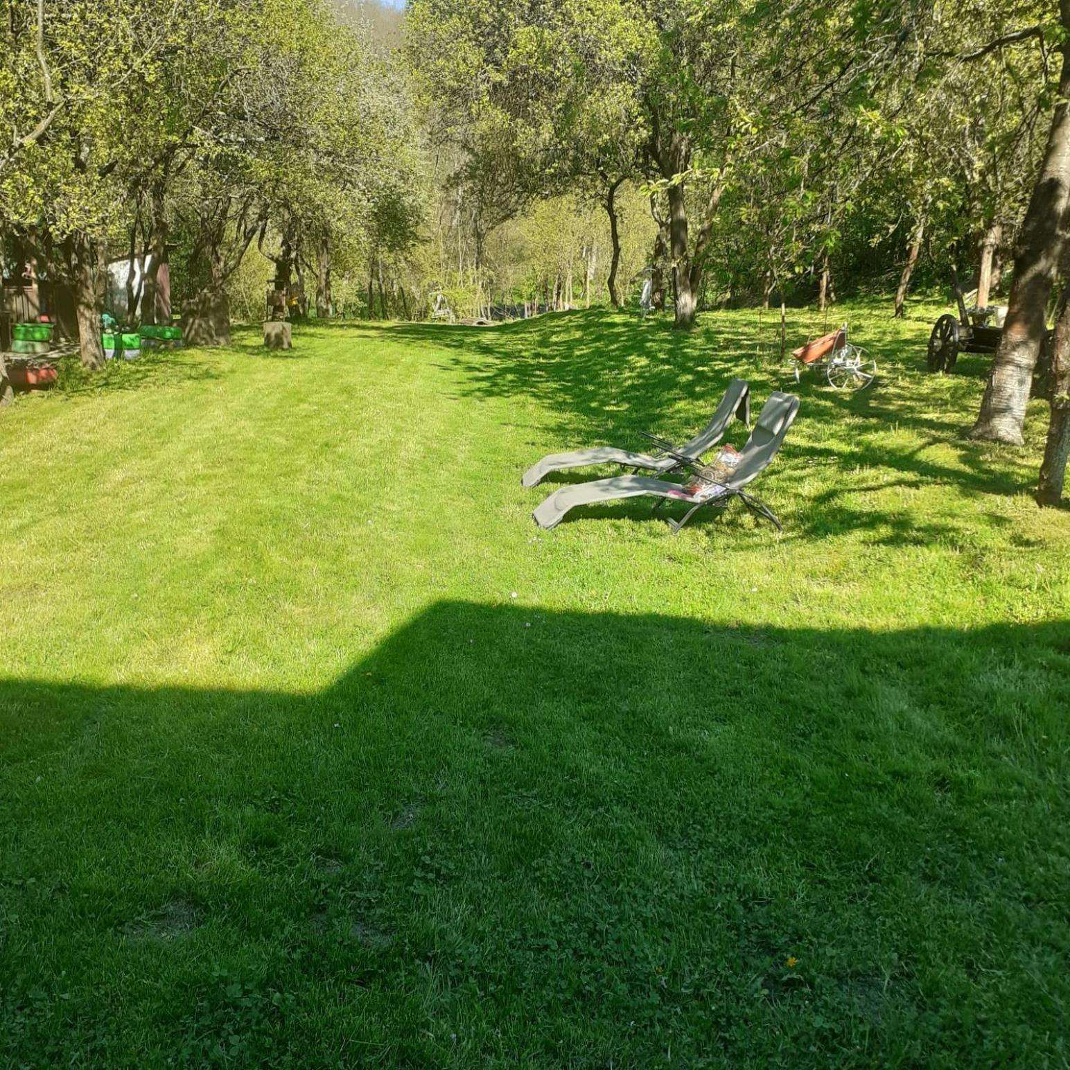Photo 28