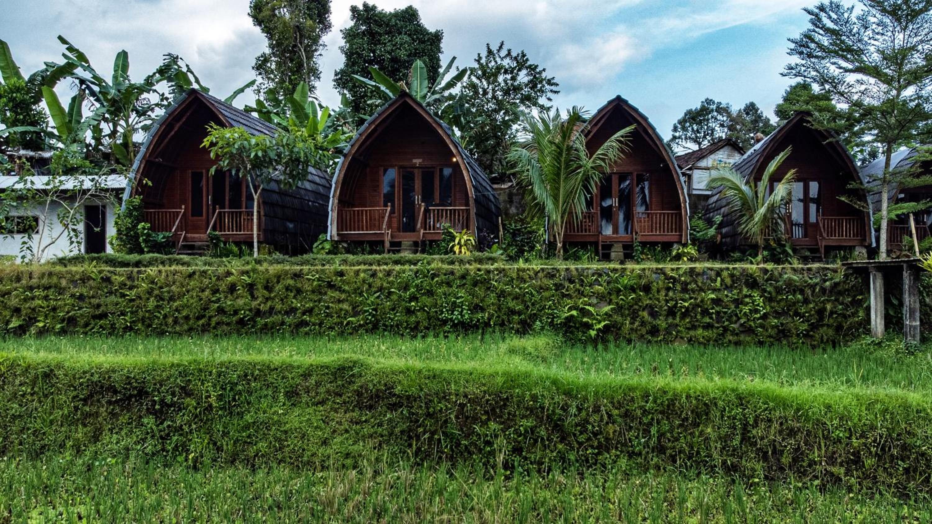 Omah Bapak Ijen Eco House view 4