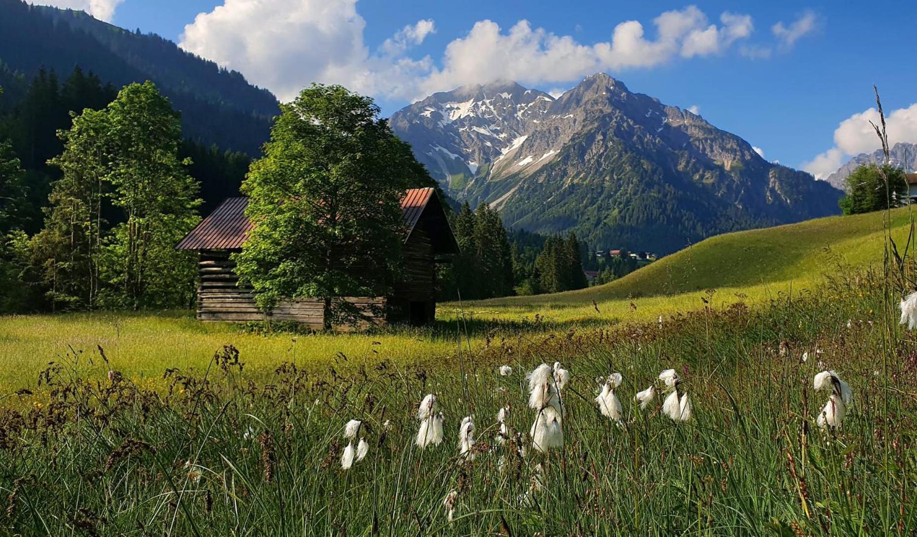 alpenHIRSCH - Ferienwohnungen