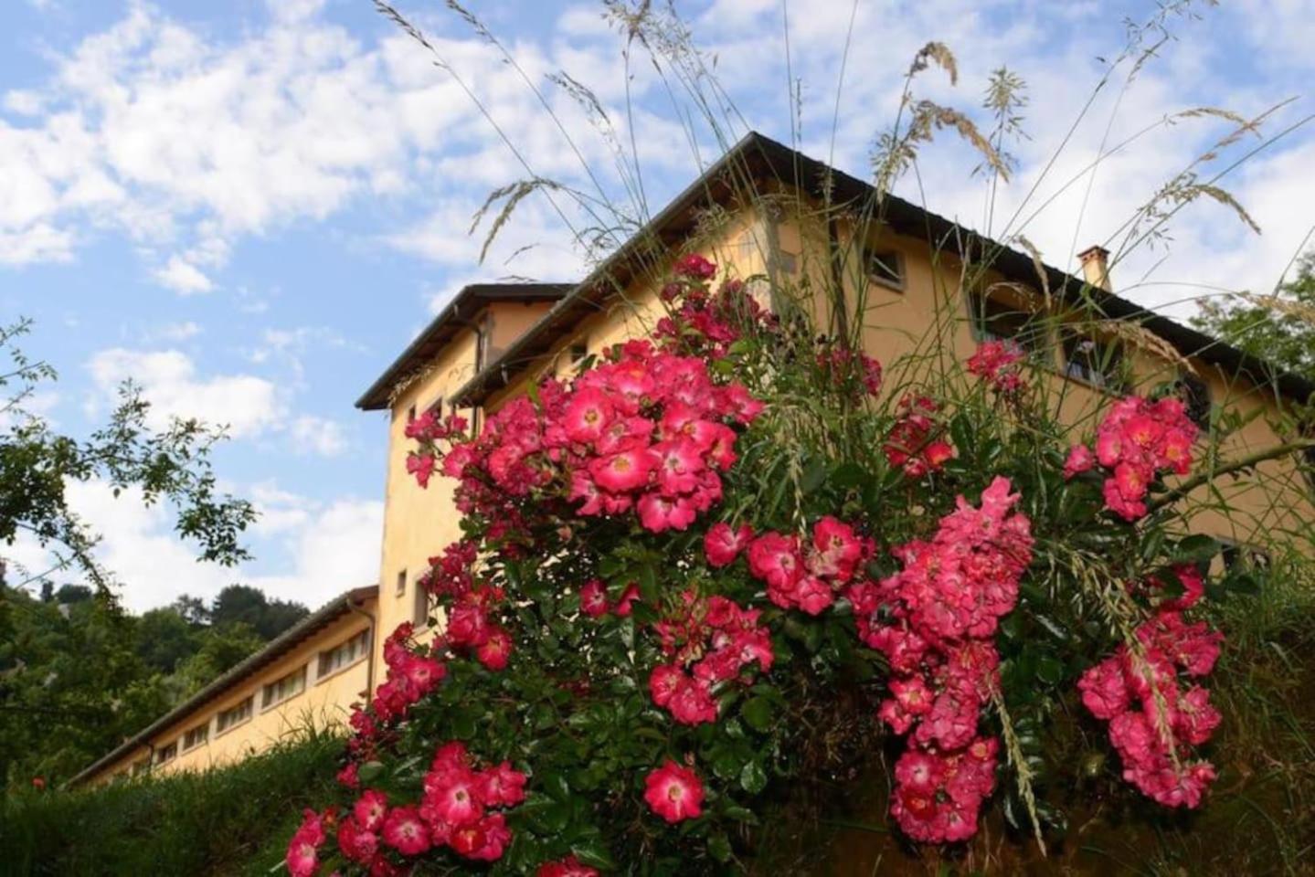 28- Cantele House in Tuscany - Feste&Sagre - Relax e Sport view 3