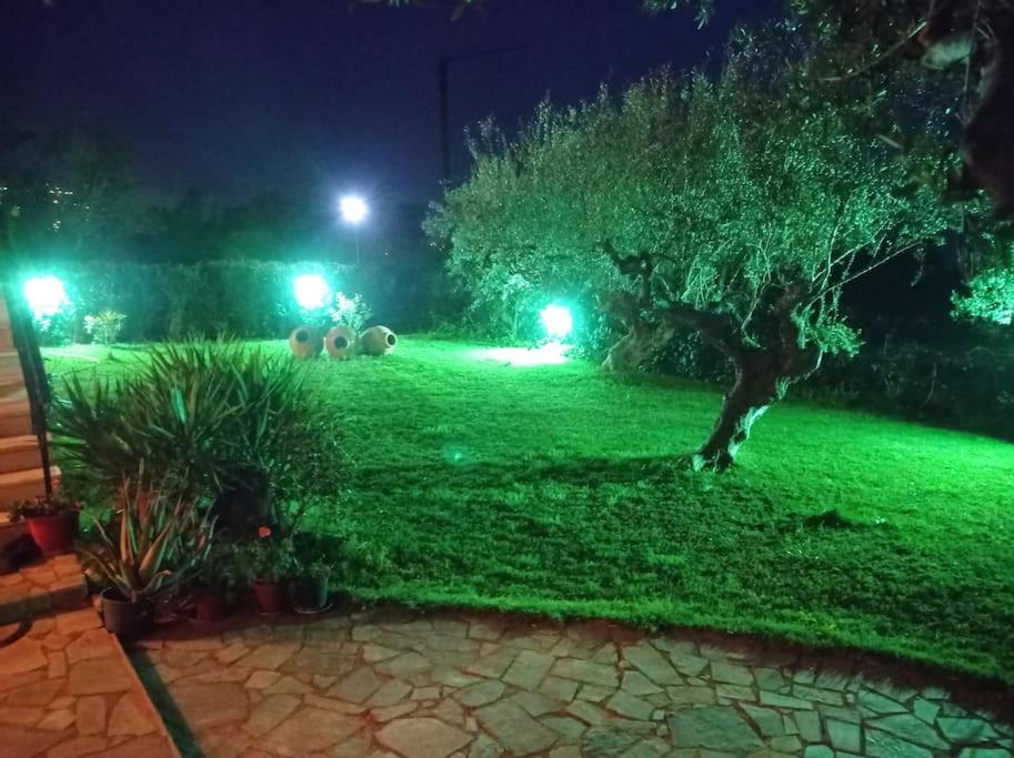 Dimitra's garden Two Houses