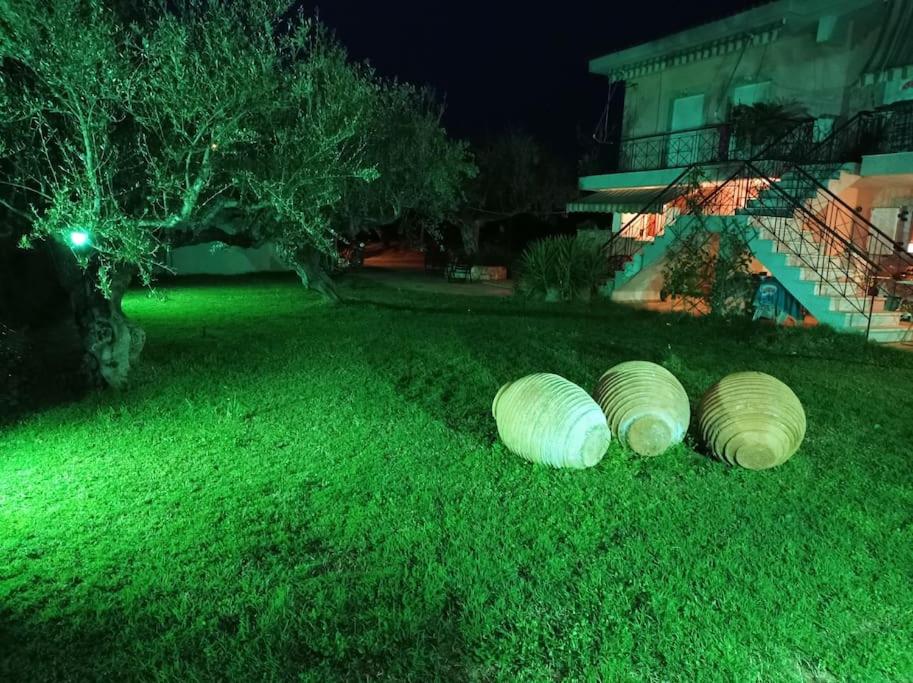 Dimitra's garden Two Houses