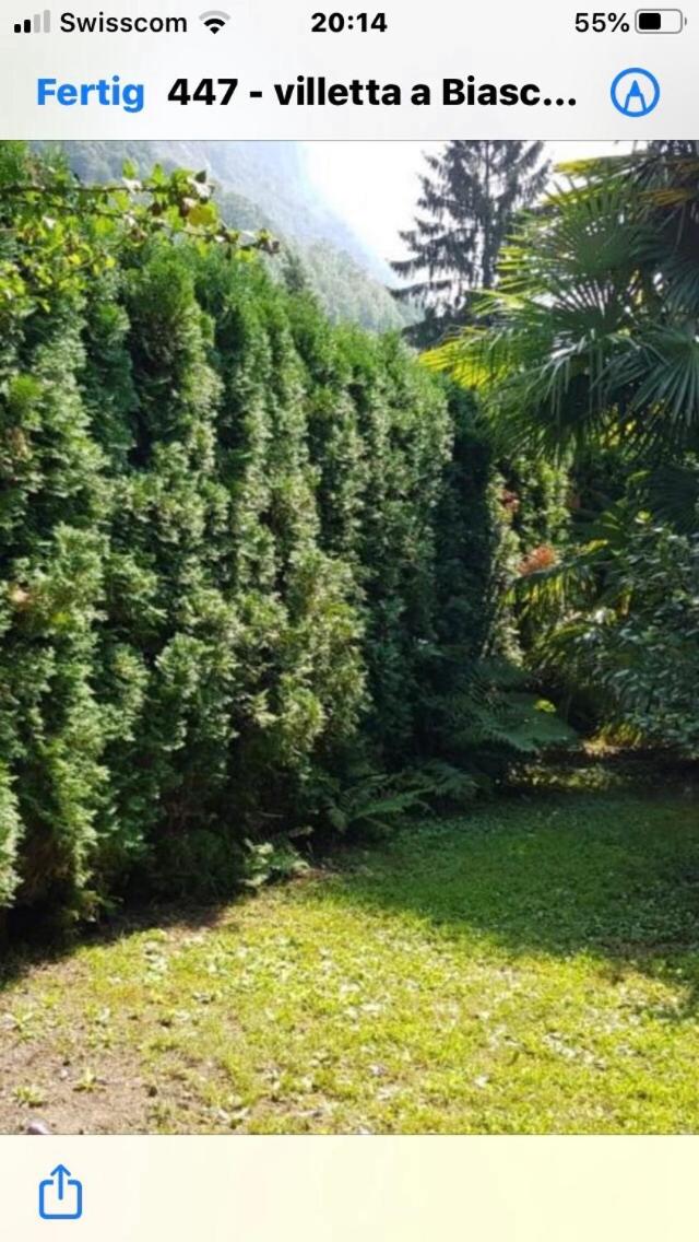 Gemütliche Gartenwohnung im Tessin, 70 qm view 3