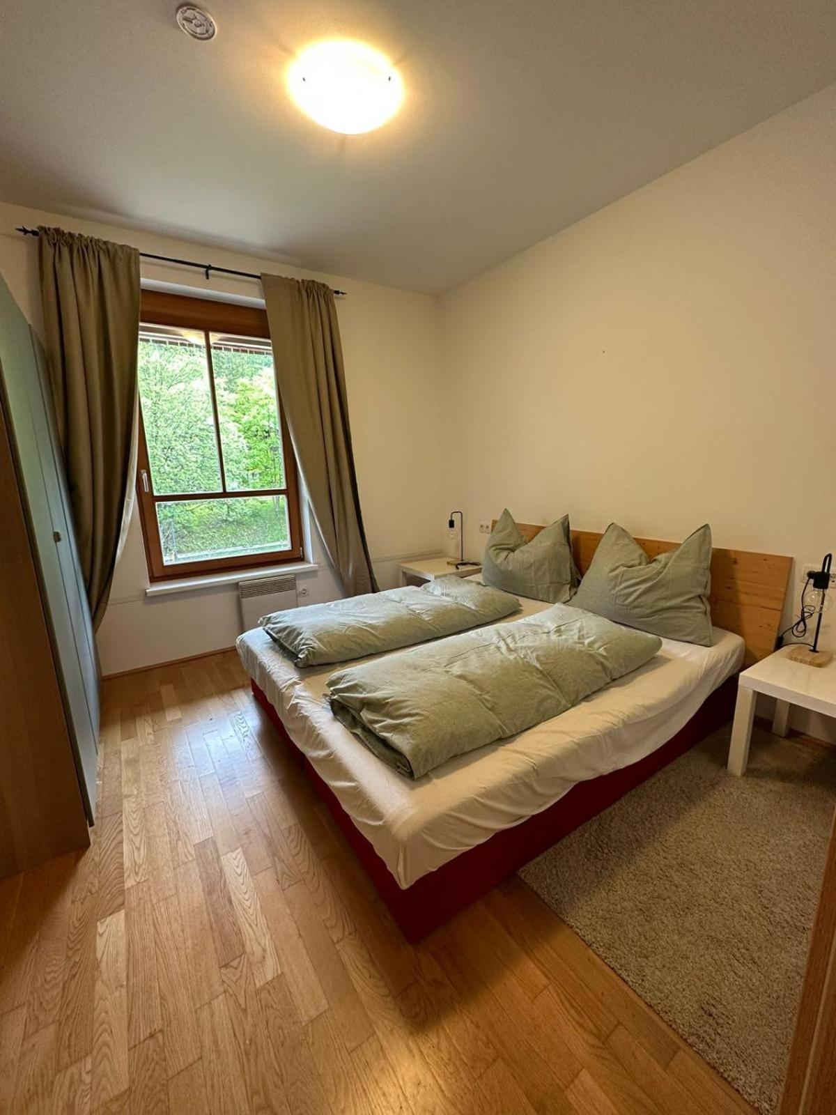 Appartment Rosennock