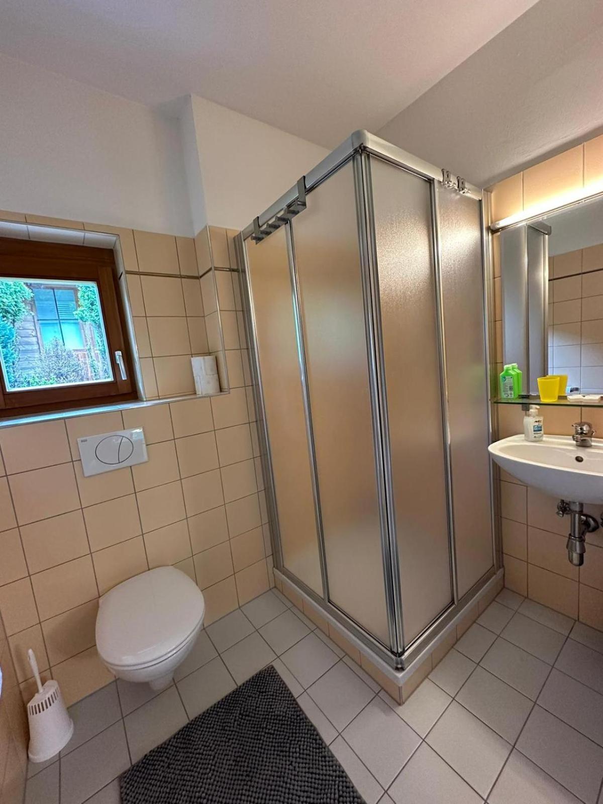 Appartment Rosennock