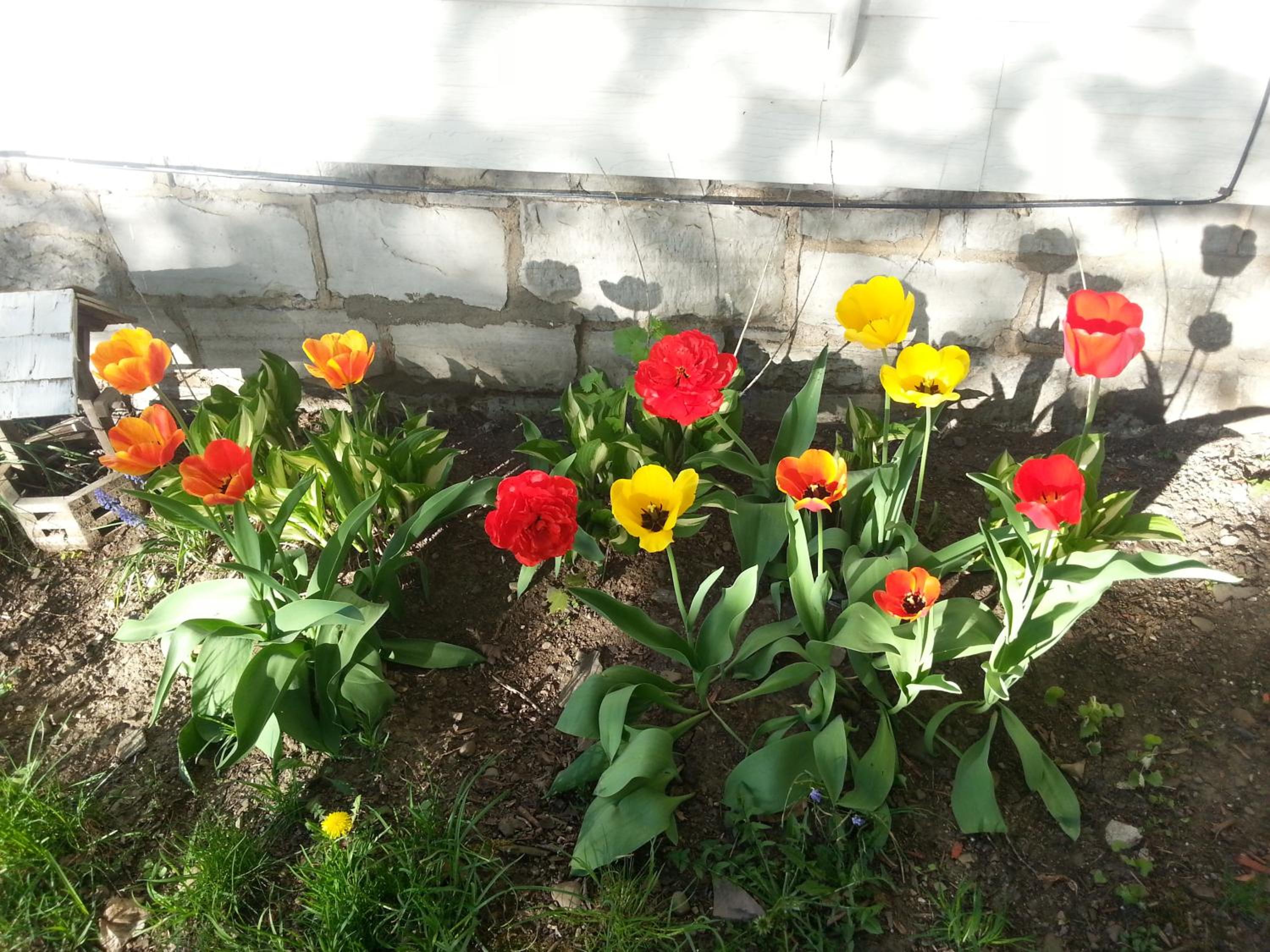 Photo 49