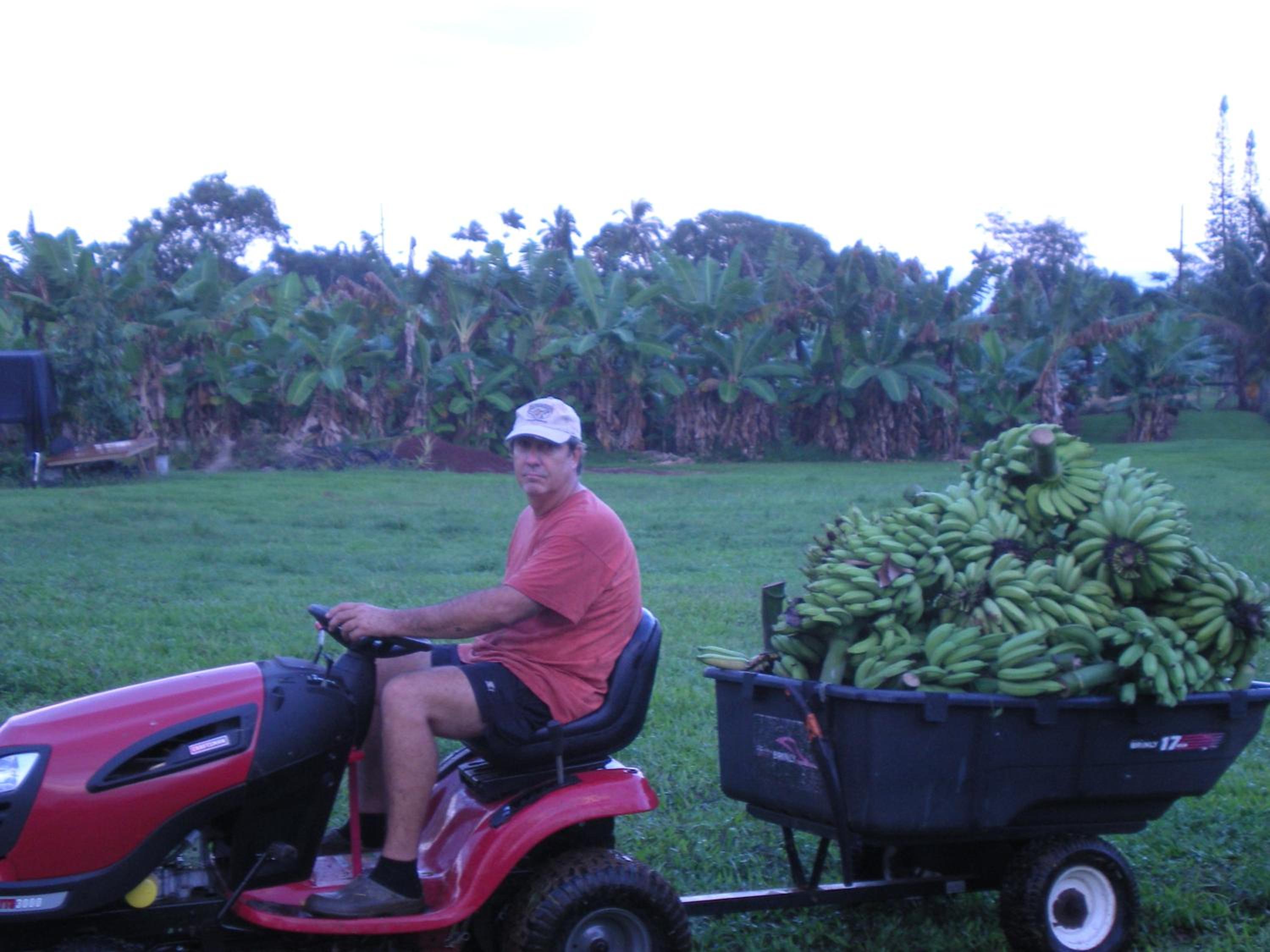 Island Goode's - Luxury Adult Only Accommodation near Hilo