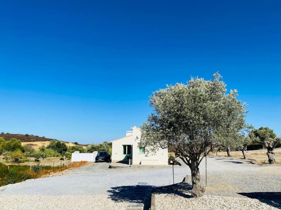 Casa na horta, planície alentejana view 4