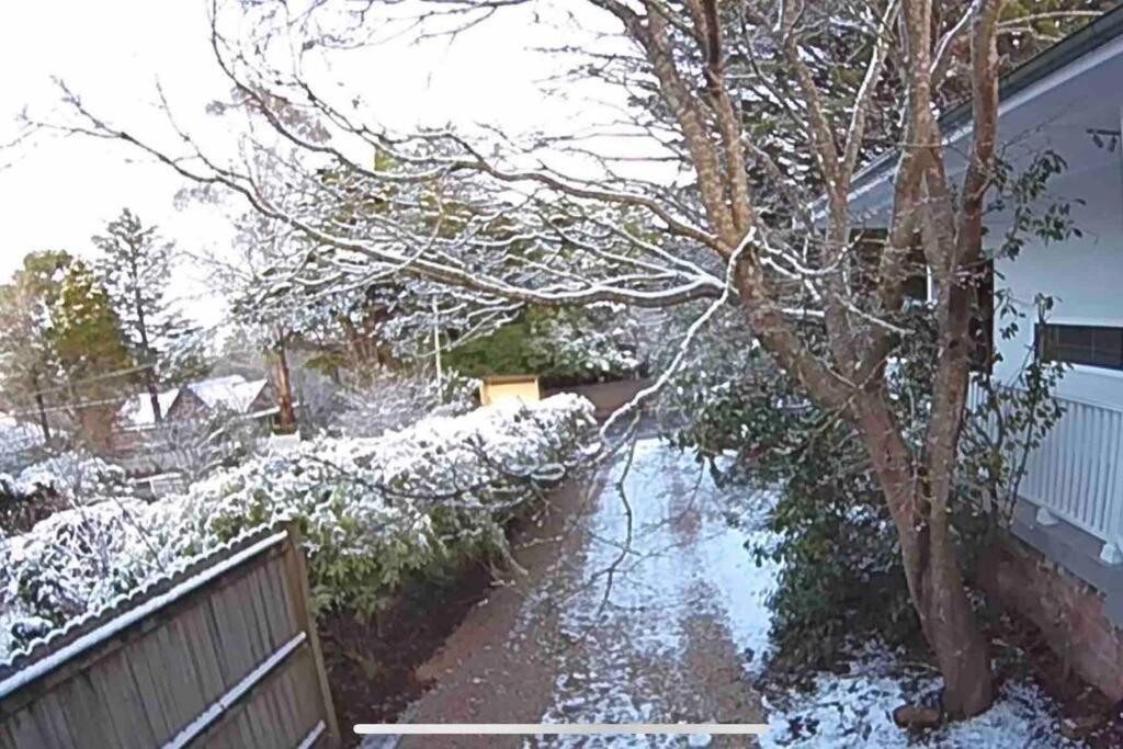 Nuach cottage - Beautiful Family home in Leura