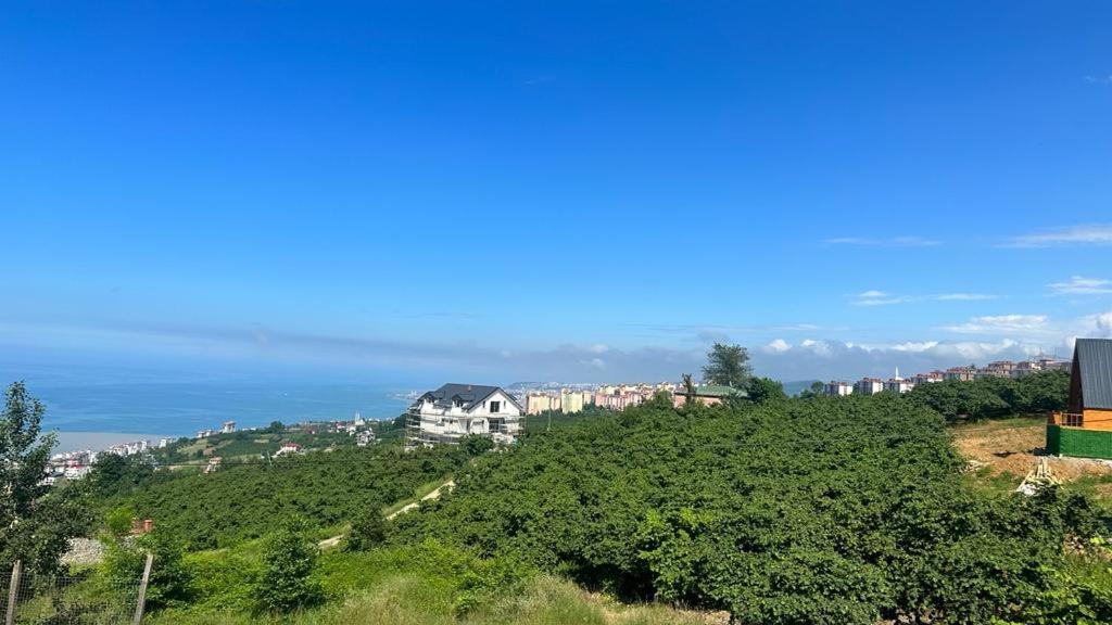 My Villa Söğütlü view 3