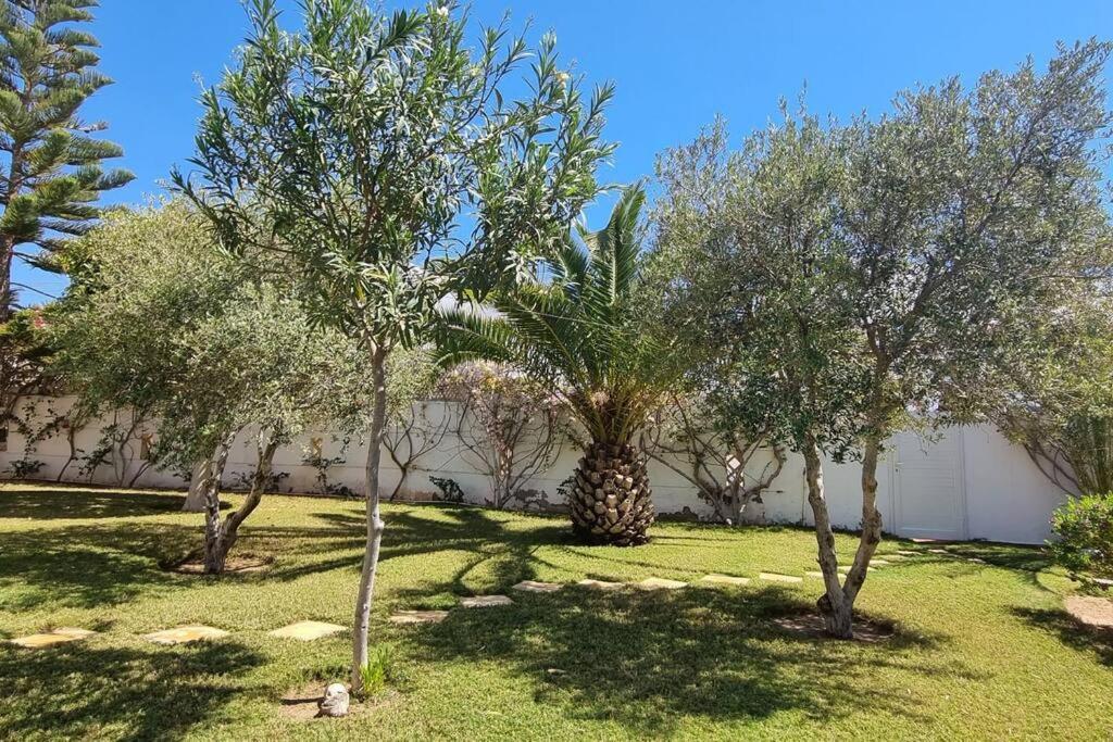 Chambre d'hotes, Dar l'air du temps - Property Image 2