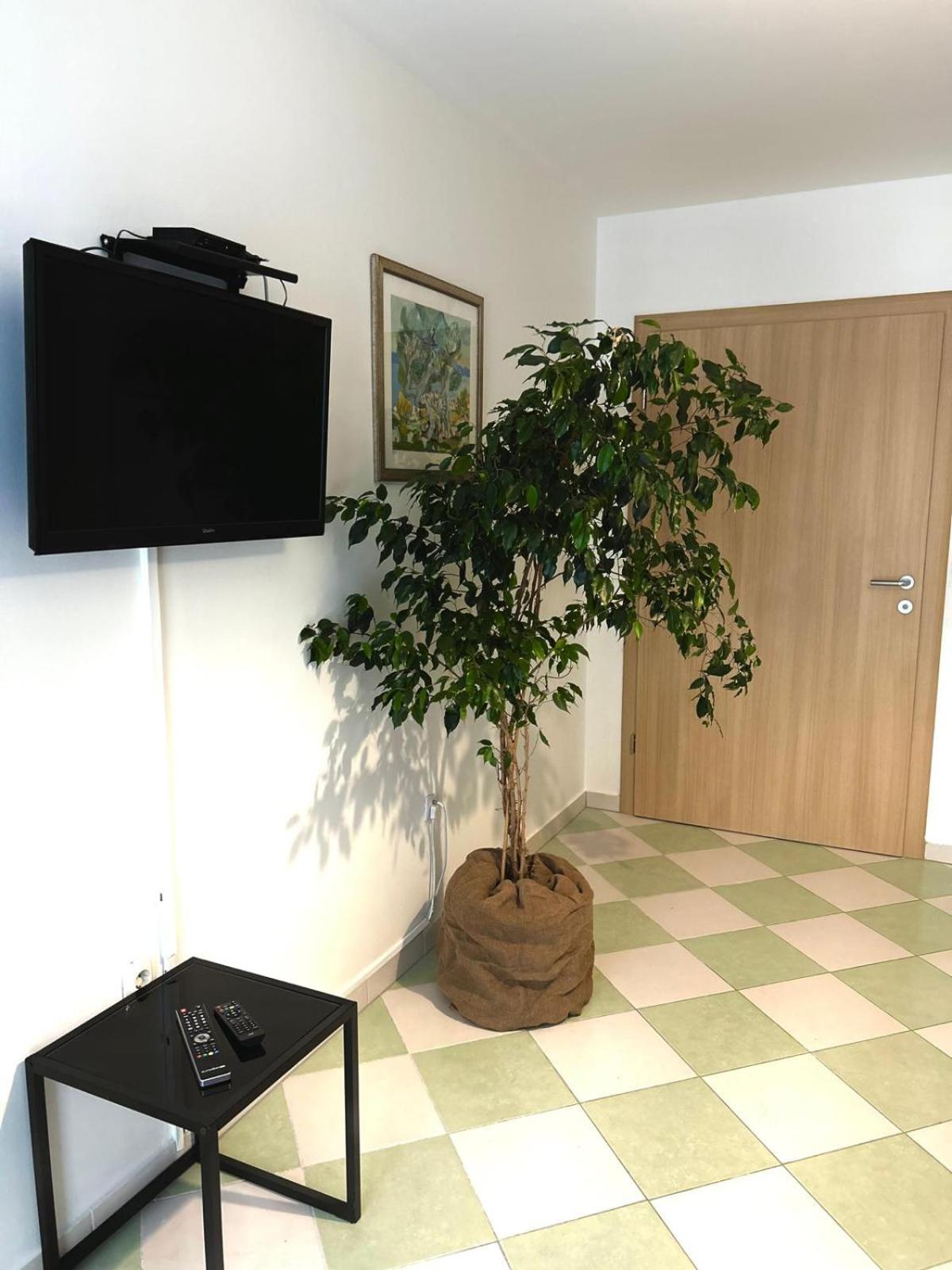 Photo 43
