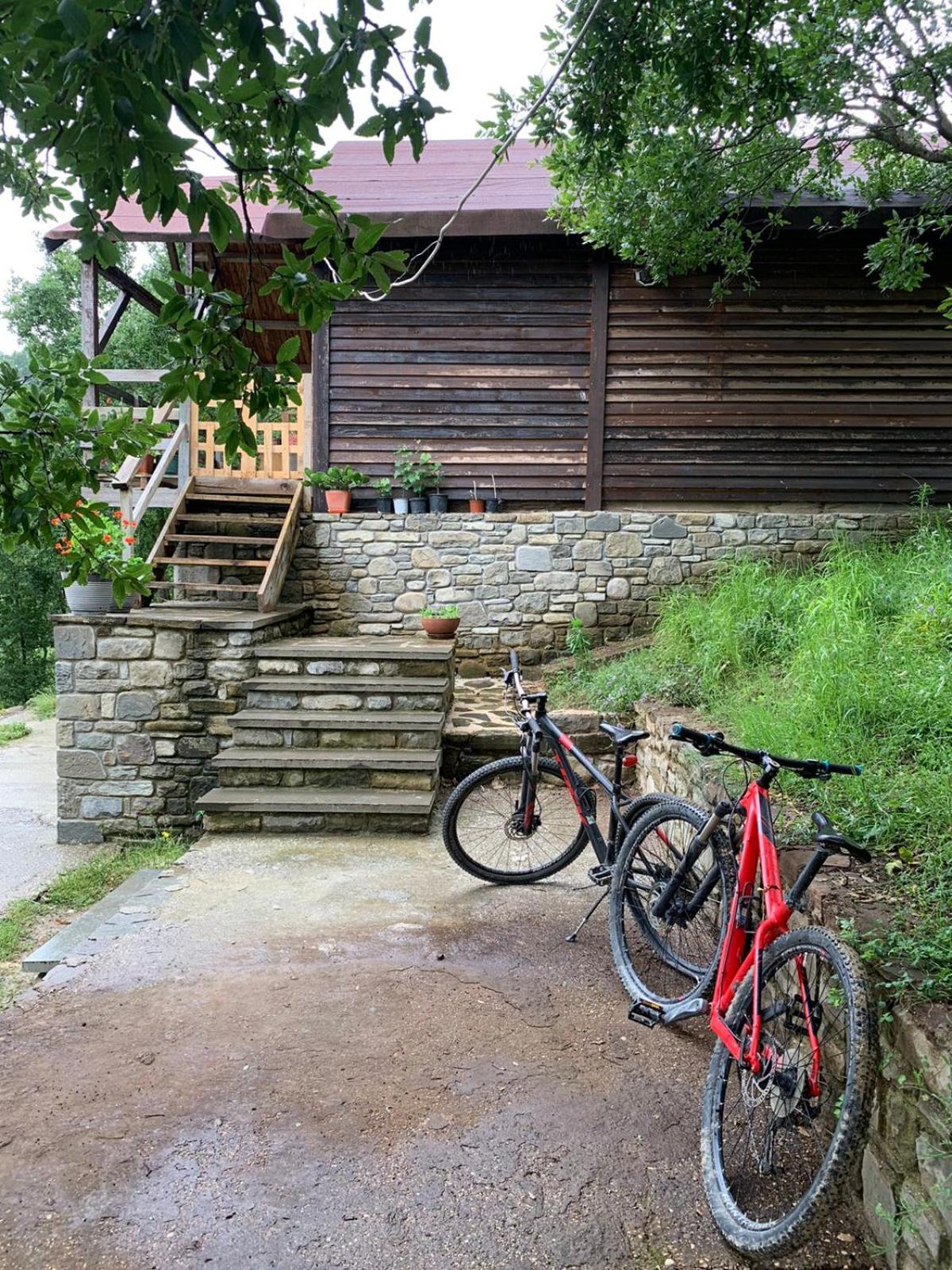 Origjina Farm