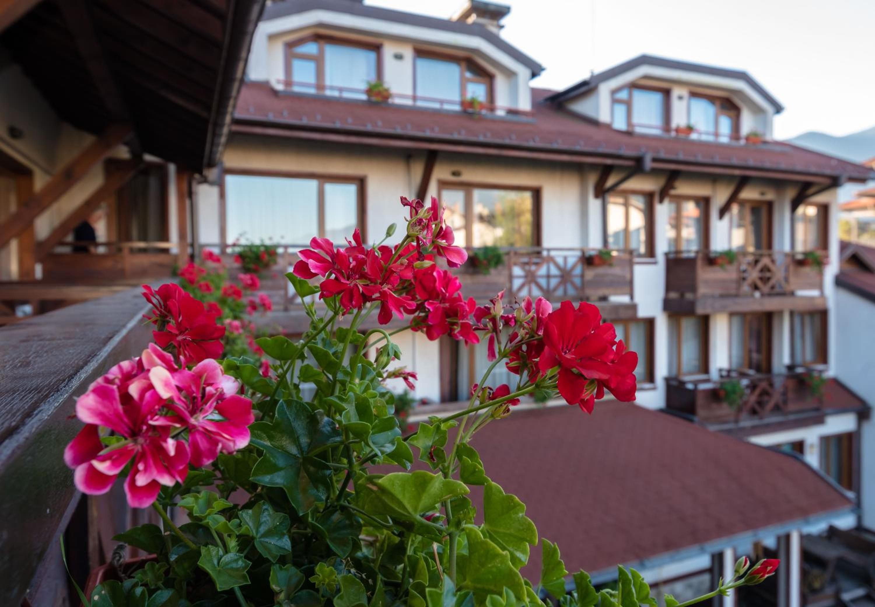 Bansko Vacations - Evelina Palace Hotel - Property Image 87