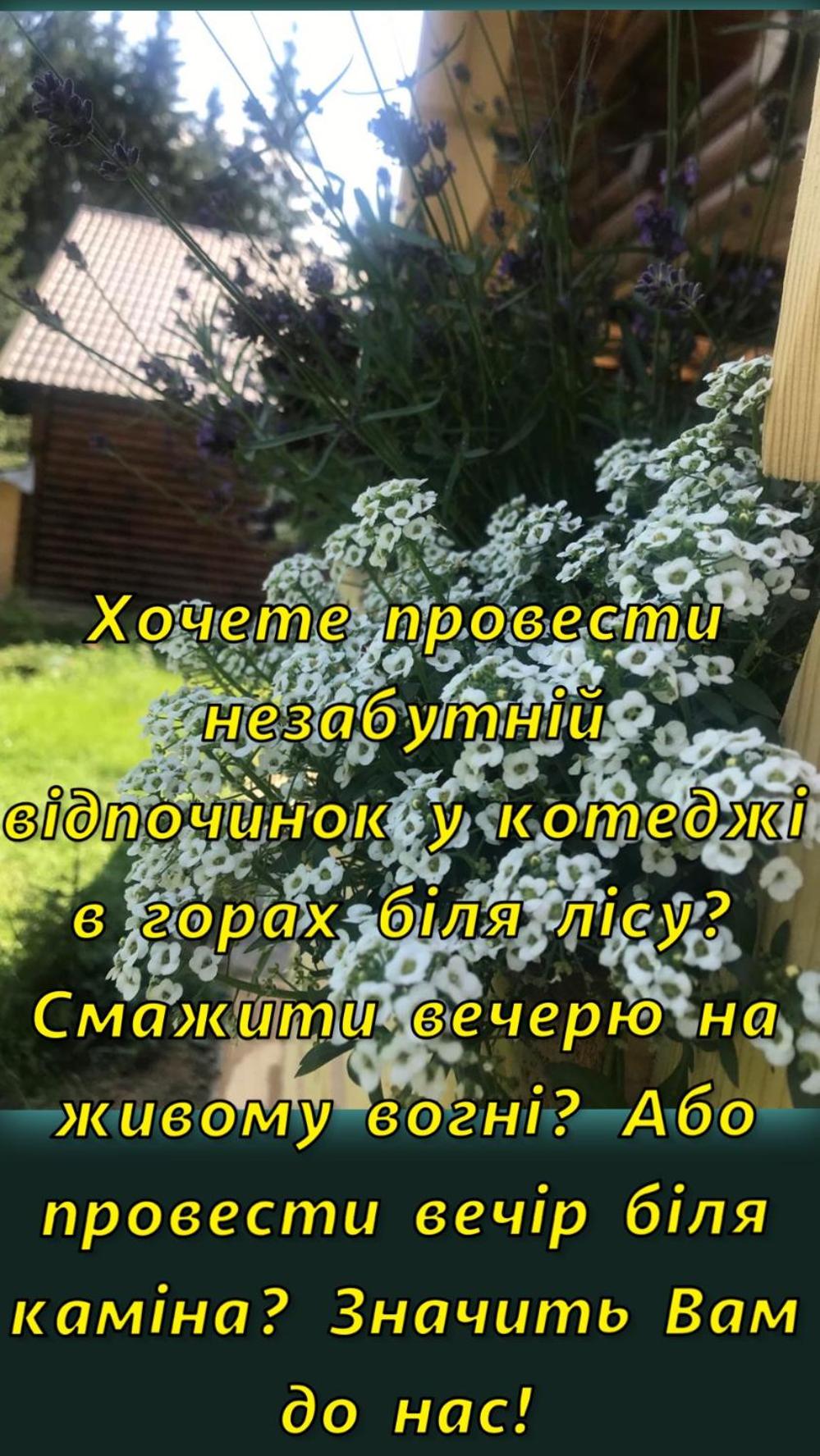 Cottage Karinka
