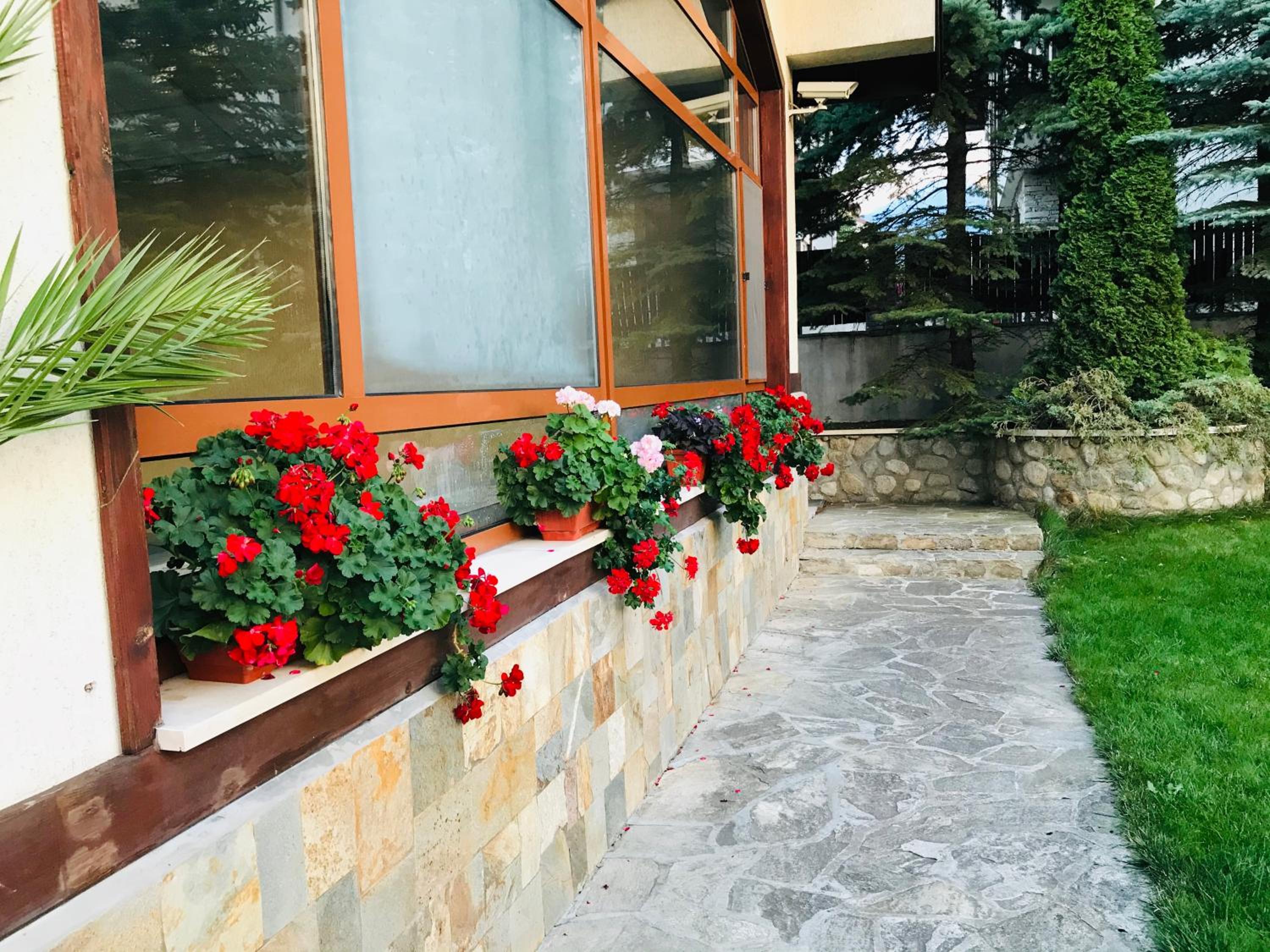 Bansko Vacations - Evelina Palace Hotel - Property Image 93
