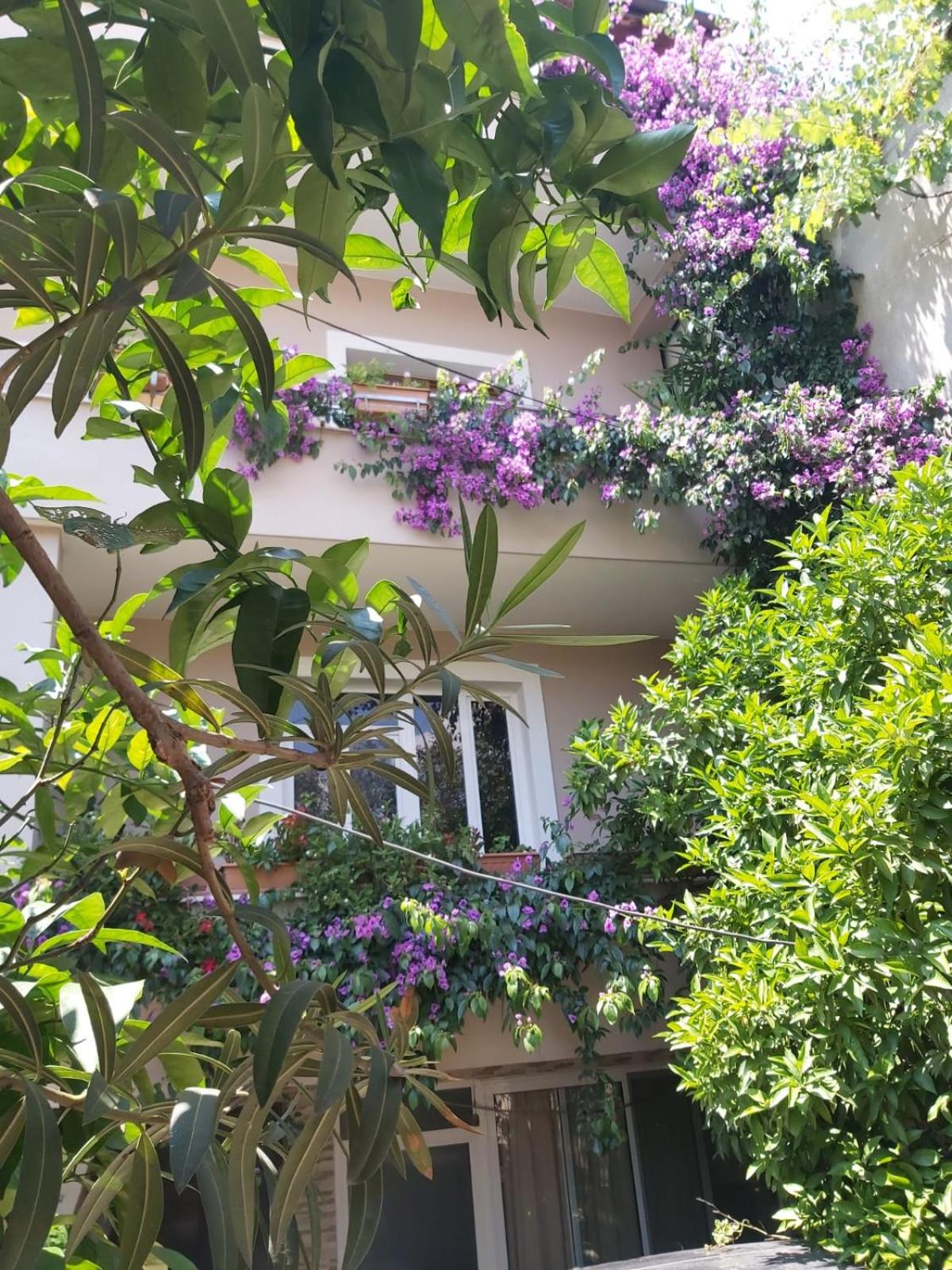 Flowers Guesthouse