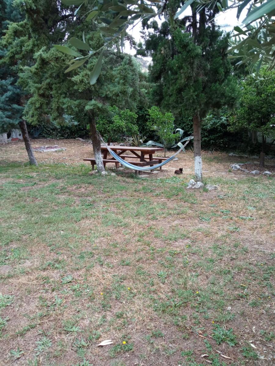 Photo 25