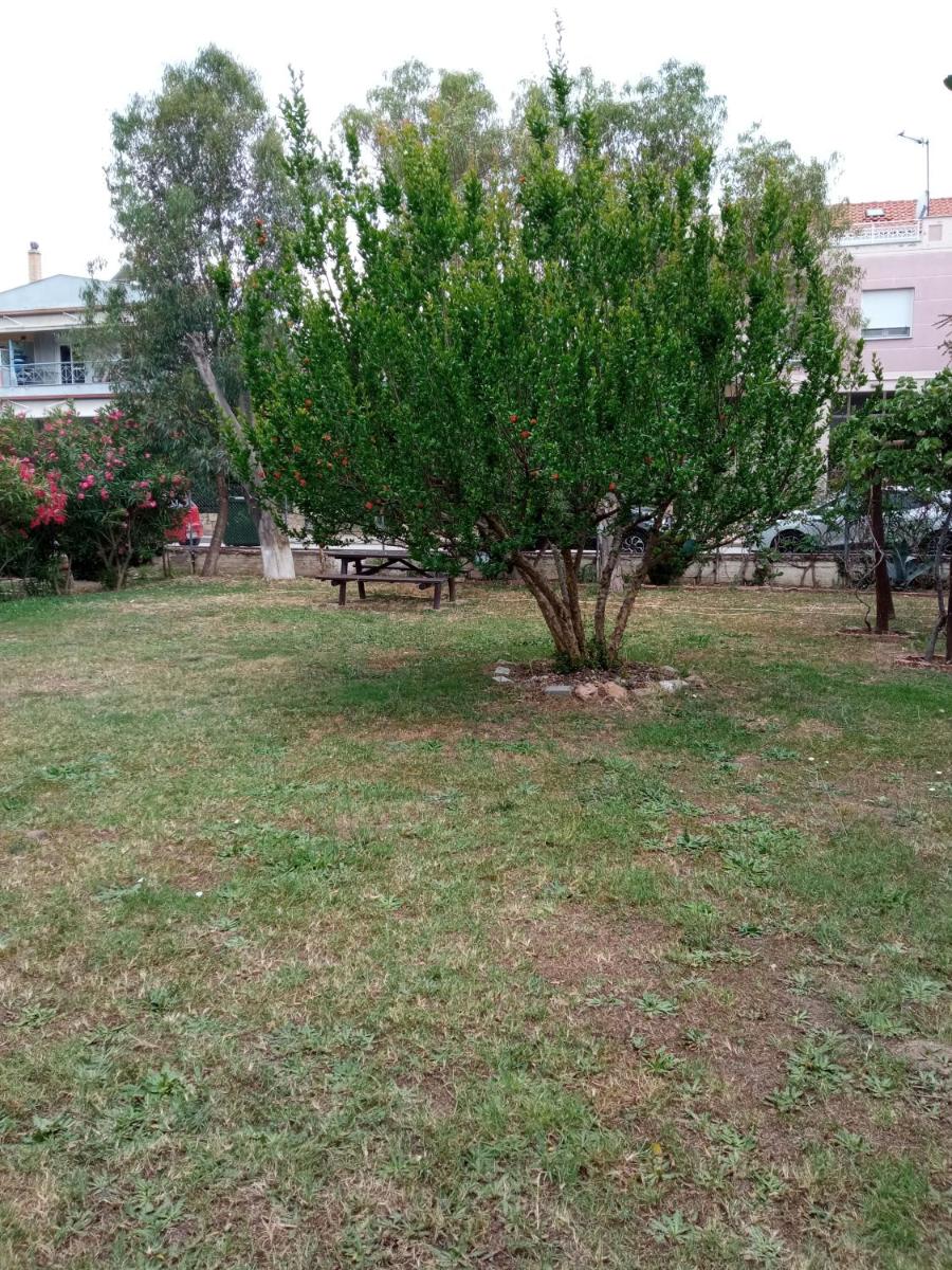 Photo 26