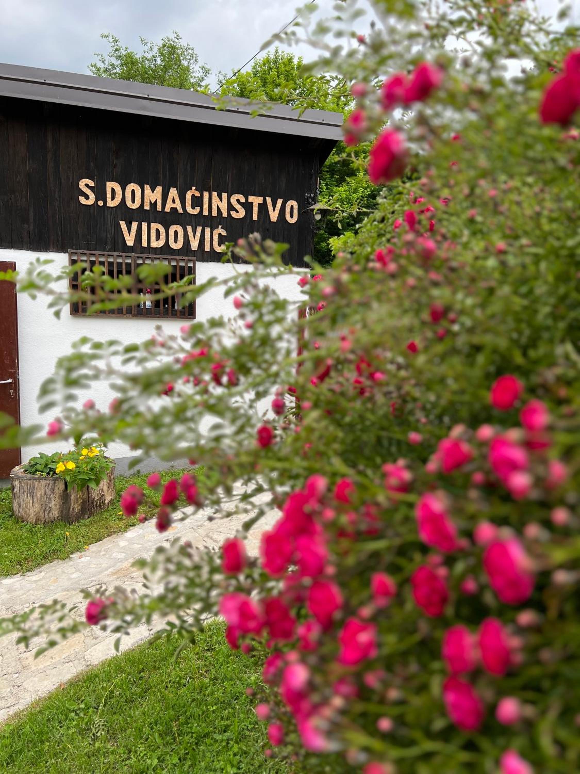 Seosko domaćinstvo Vidović