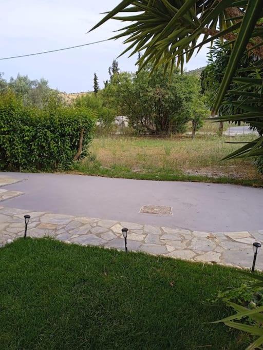 The Sunny House view 5