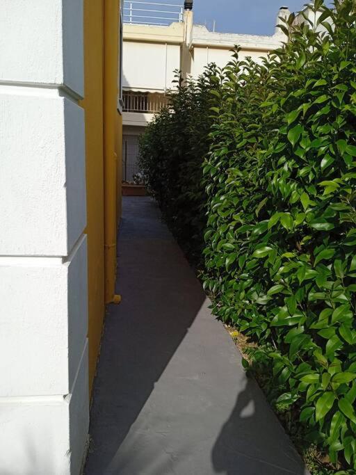 Photo 34