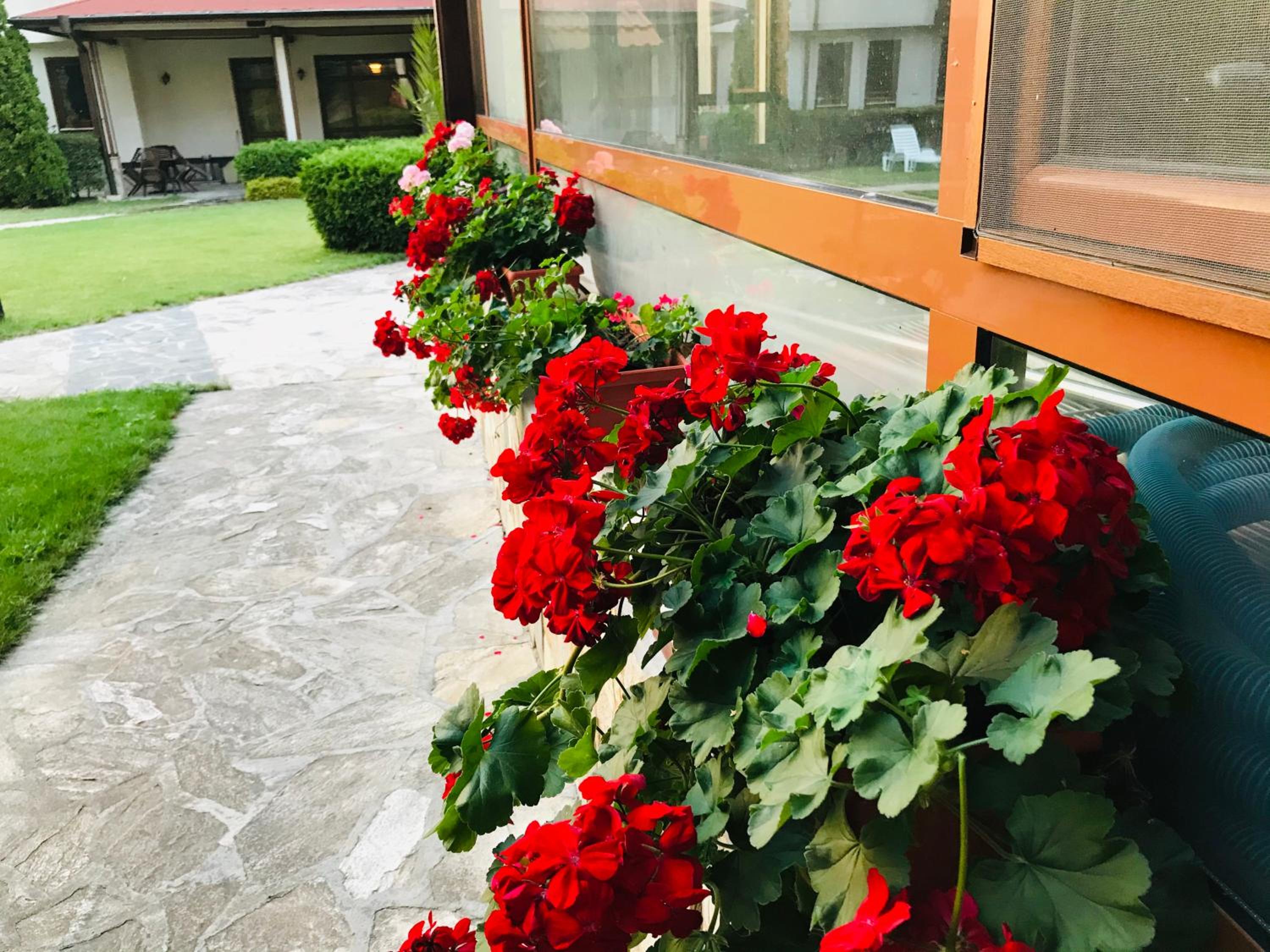 Bansko Vacations - Evelina Palace Hotel - Property Image 72