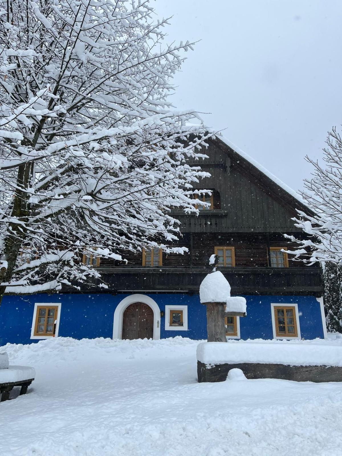 Blue House