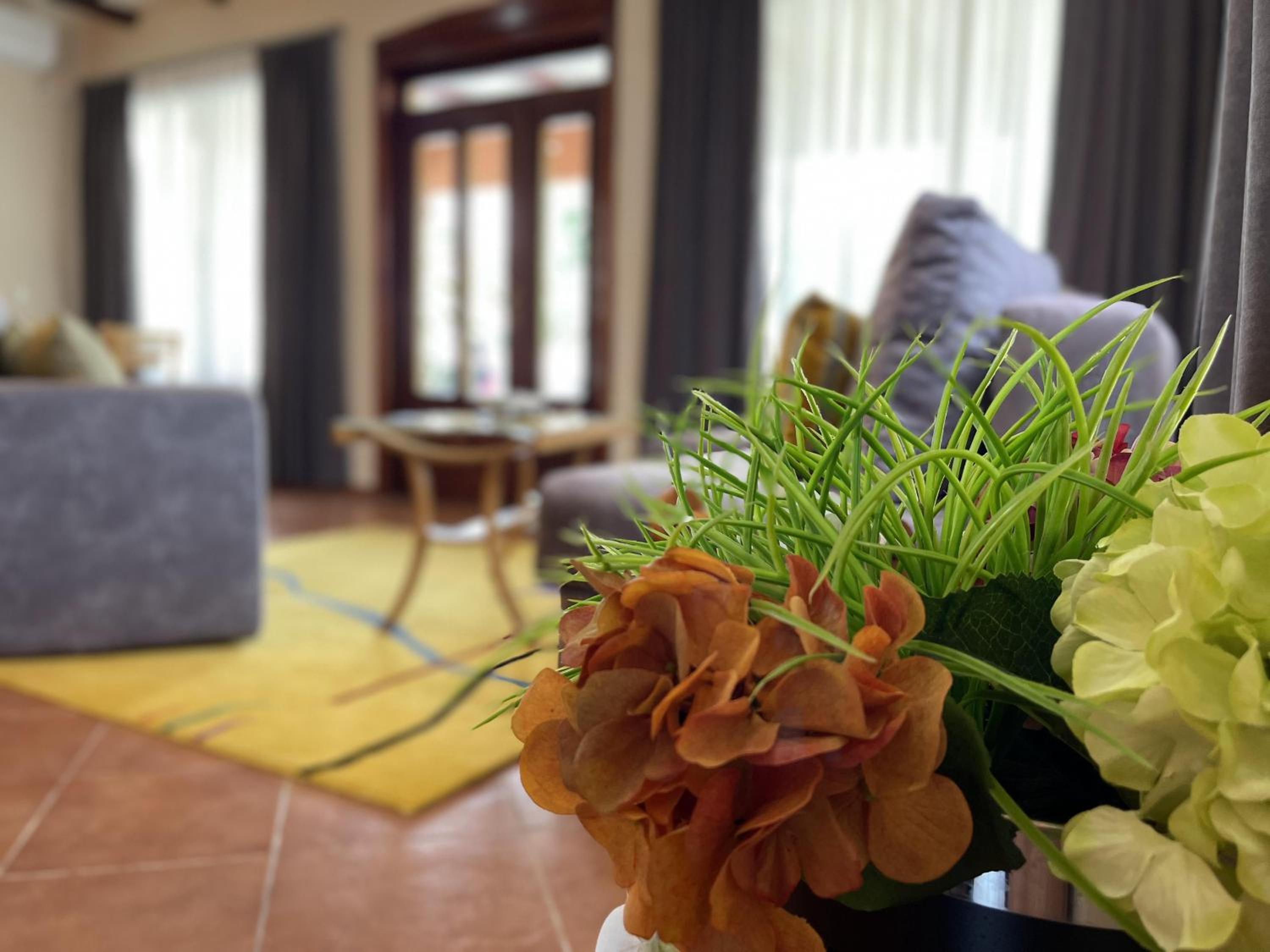 Apartman Zlatić