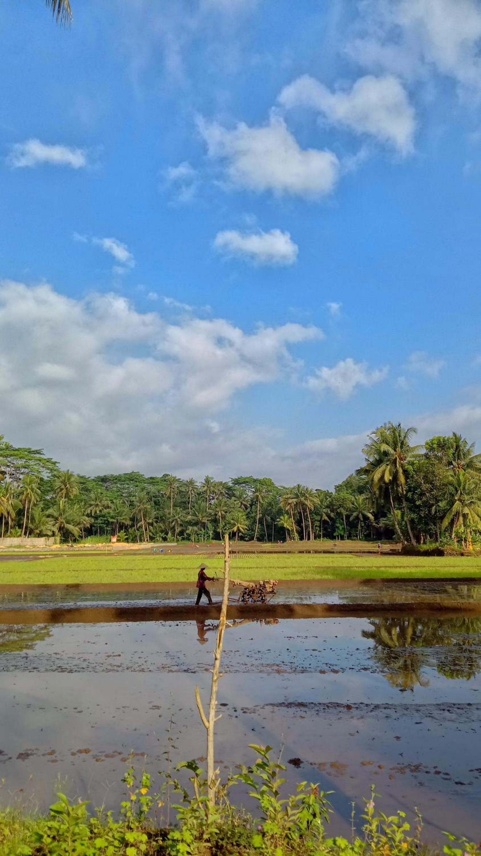 Susan Homestay view 4