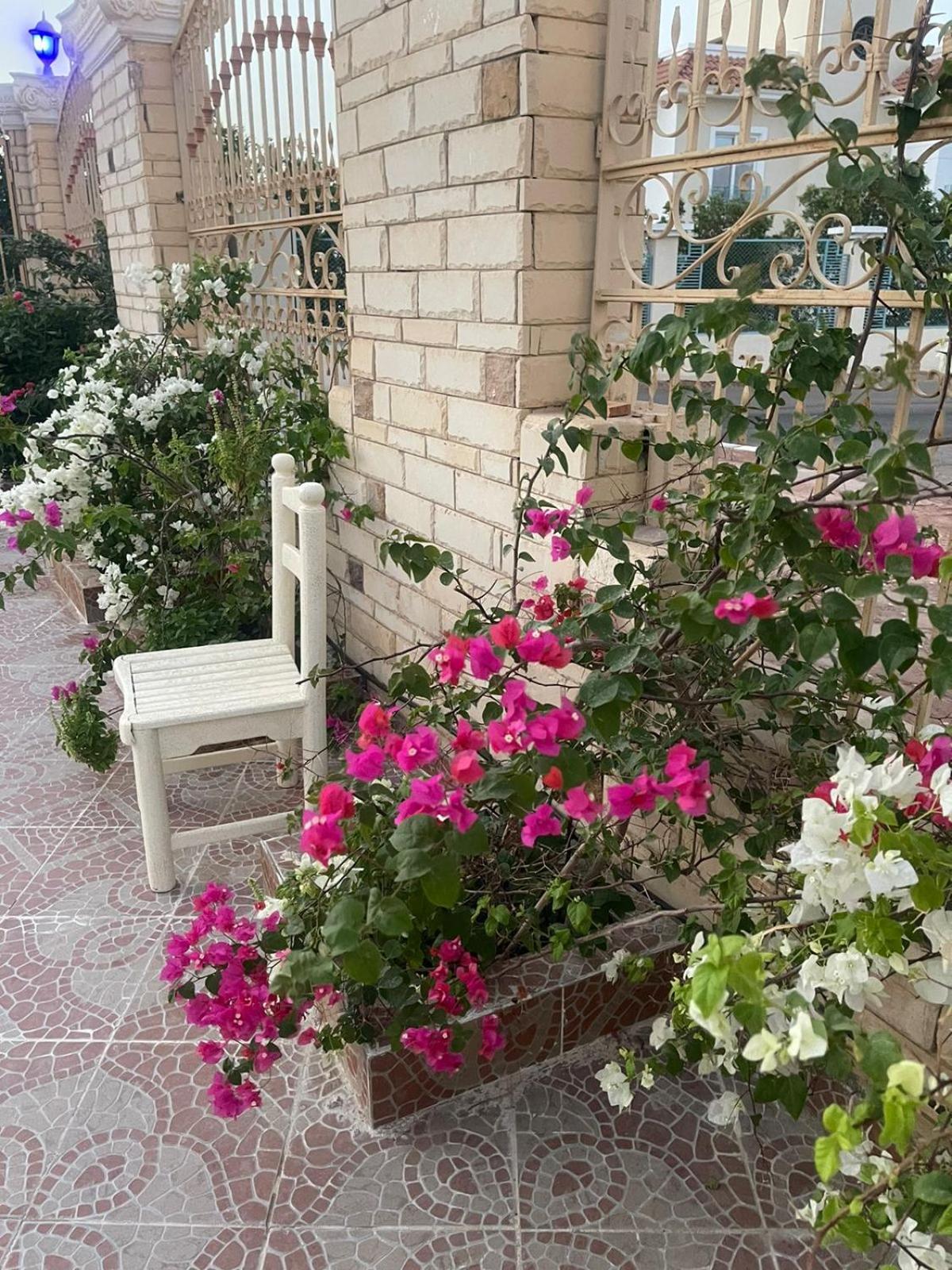 Classic House Dahab