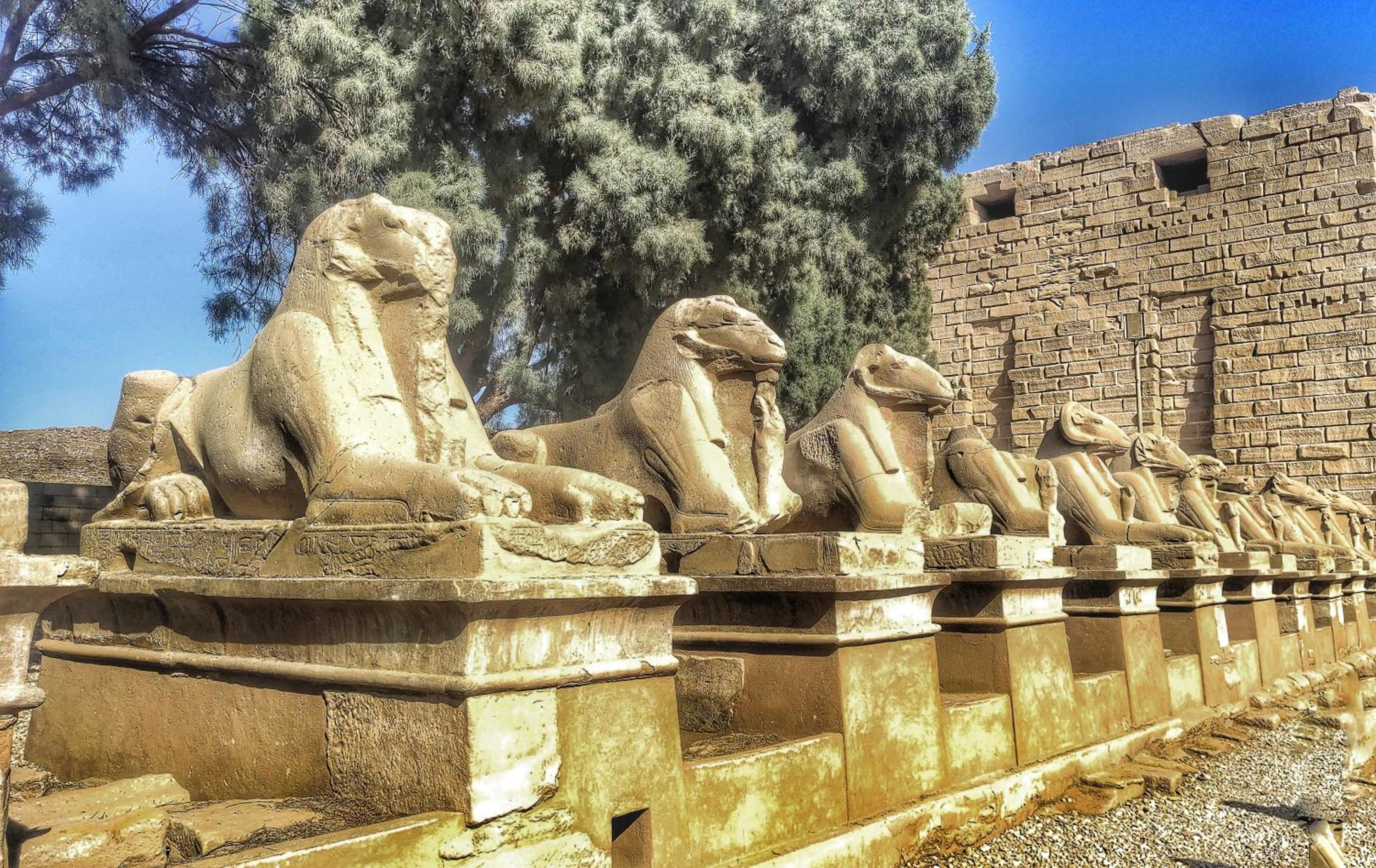 Royal Home Luxor Pool View