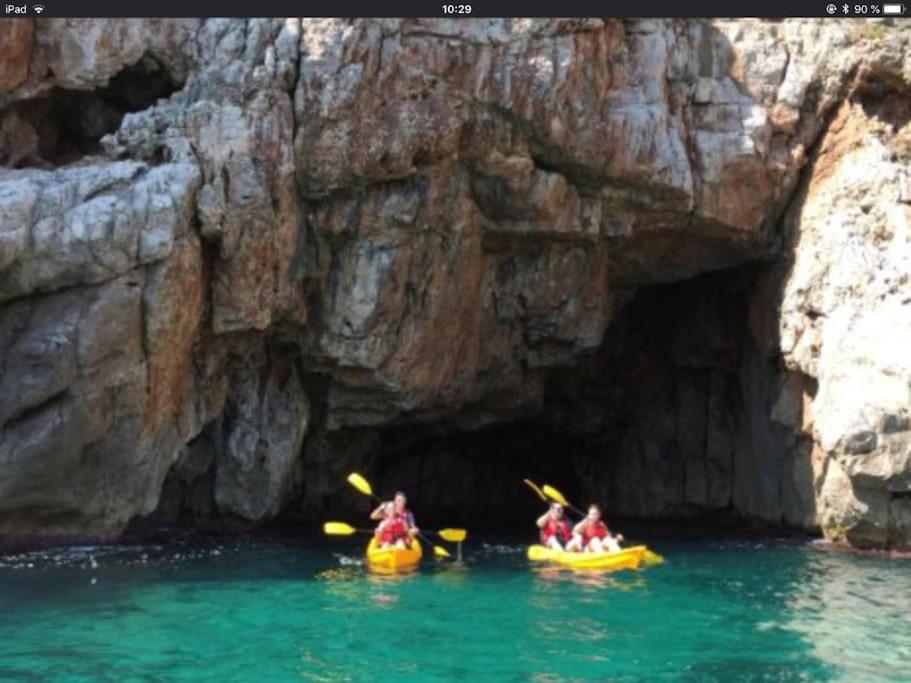 Casa Anemone